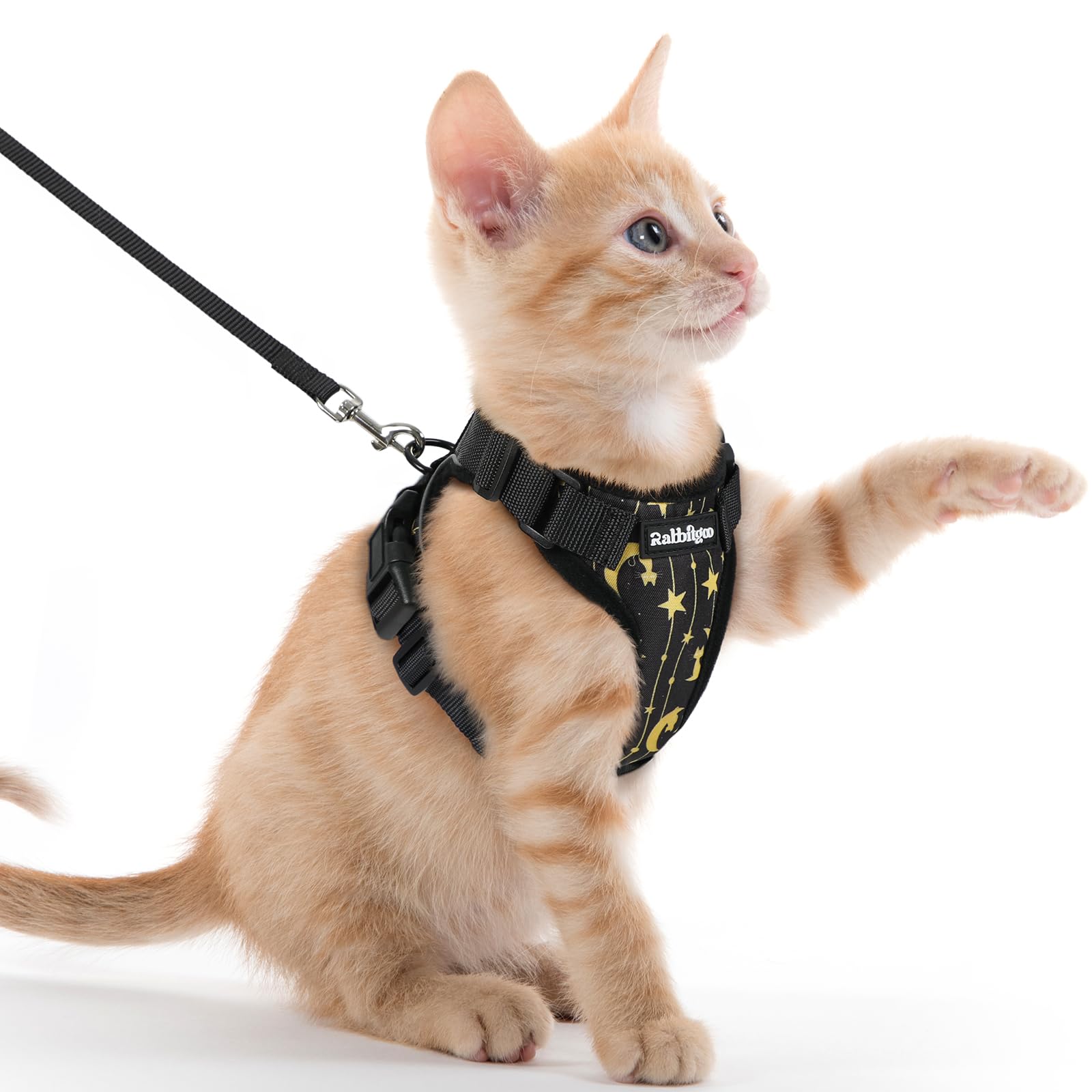 rabbitgoo Cat Harness and Leash Set, Escape Proof Vest, Lunar Prowl