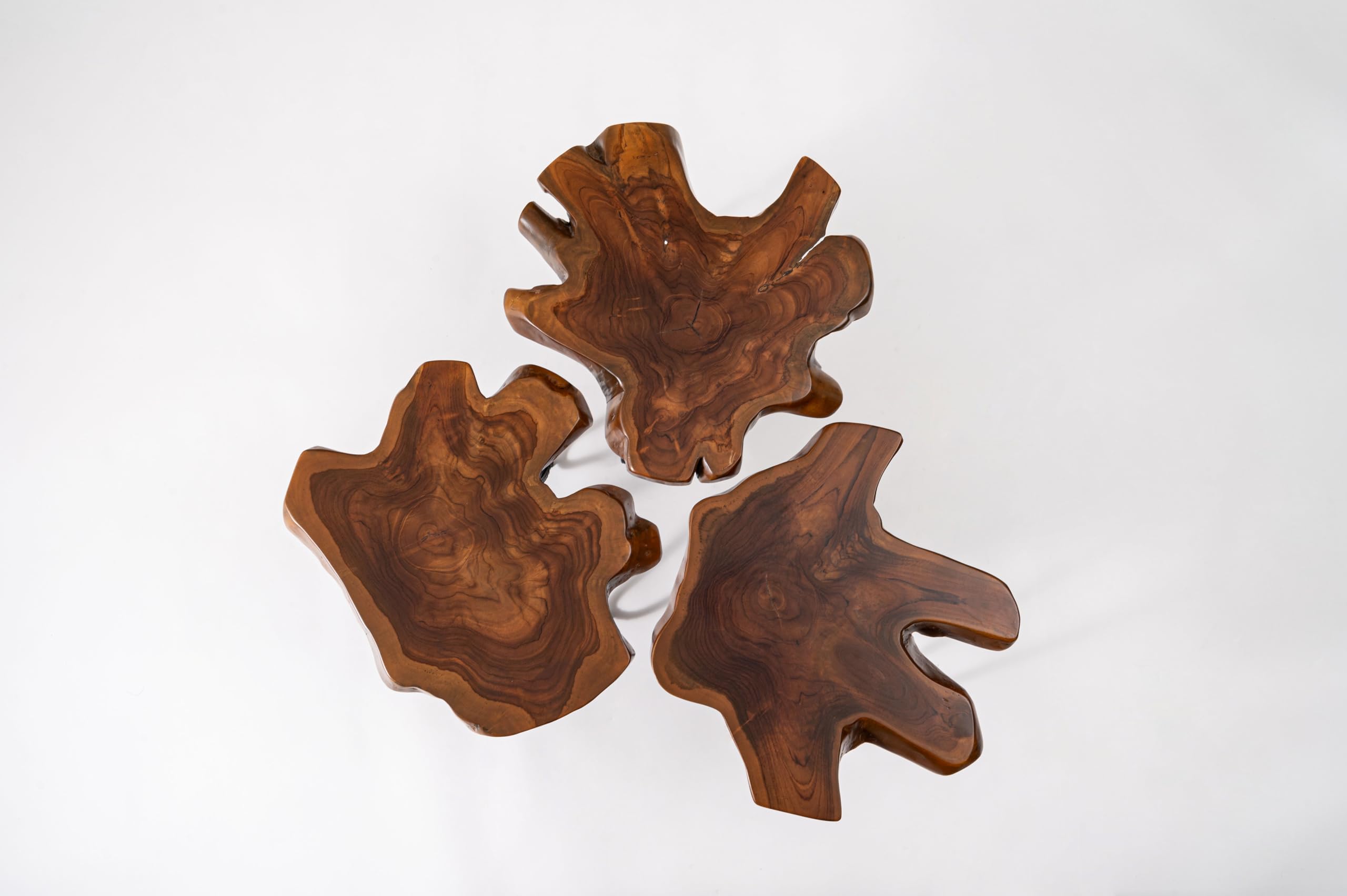 Amazon.co.jp: AZUMAYA ムク テーブル TTF-185 : ホーム＆キッチン