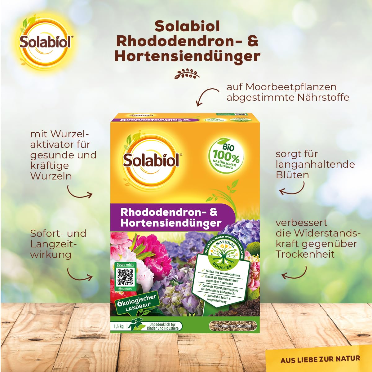 thuja in topf Gelber Zwerg-Lebensbaum kaufen | Thuja orientalis 'Aurea Nana'