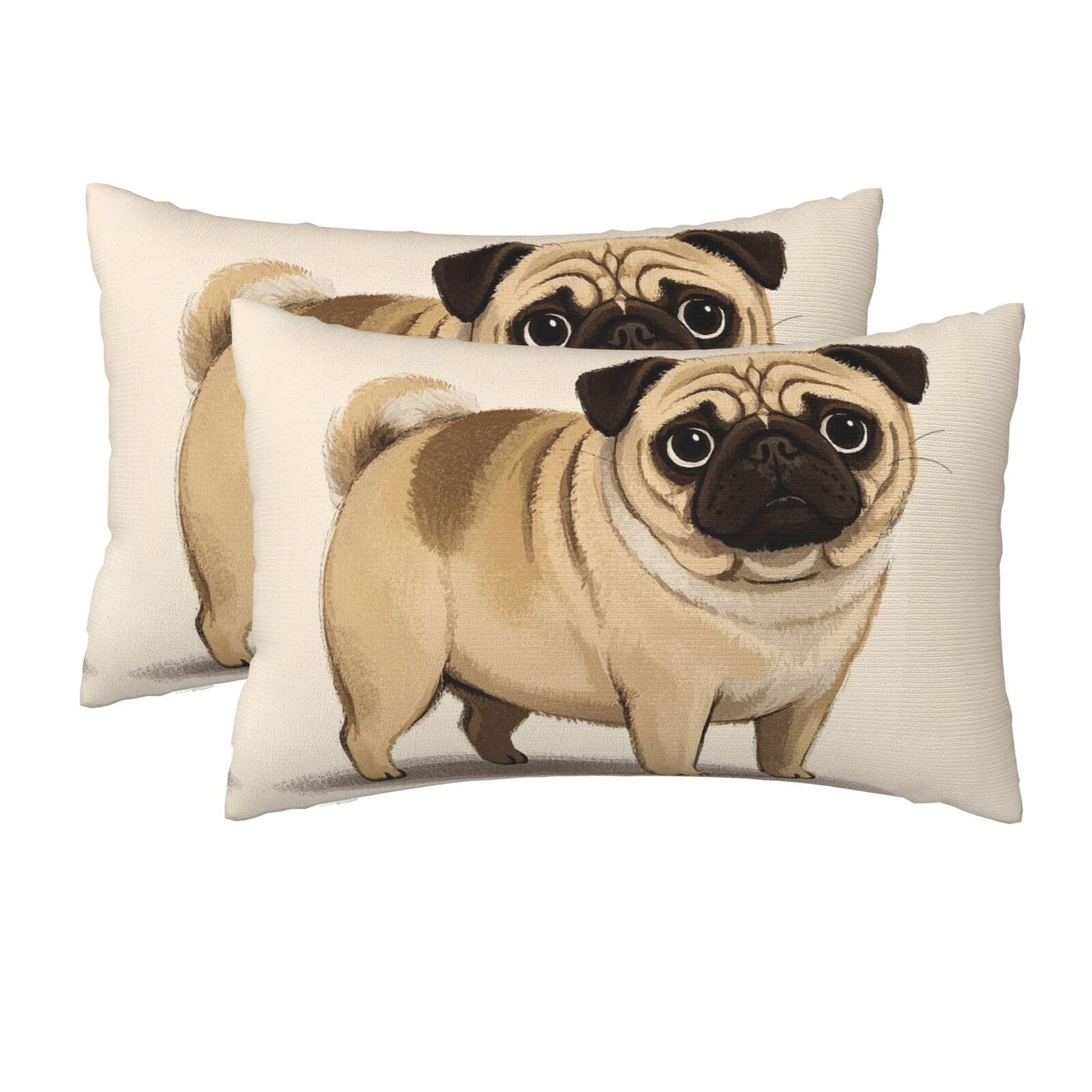 2 Pack Queen Pillow Cases with Hidden Zipper, Soft Breathable Pillow Covers for Hair and Skin, Cartoon Pug Pillowcases 20"x30" Bed Pillow Protectors Cover for Sleeping Gifts