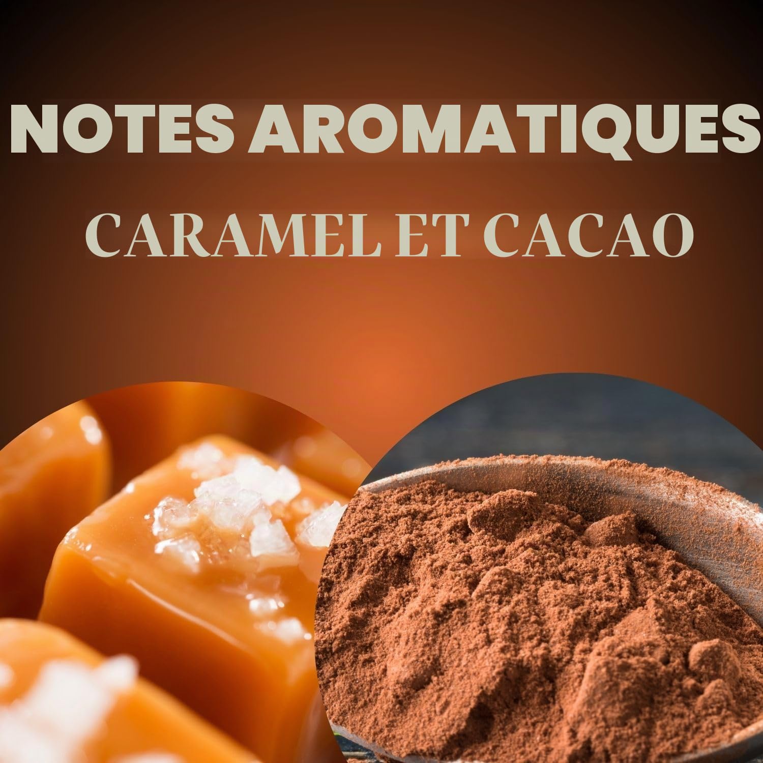 CAFFE' MOTTA Café en grains 6 kg, café en grains Lounge Bar Espresso Classic Arabica Blend et Robusta Fabriqué en Italie (Espresso Classique, 6 kg)
