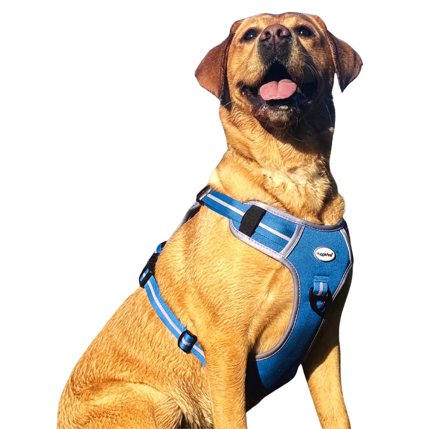 HugglePets Activity & Travel Comfort Dog Harness | Blue Large 75-100cm | Adjustable Reflective | Breathable Mesh | Padded Grab Handle | Front & Rear D-Ring | Great
