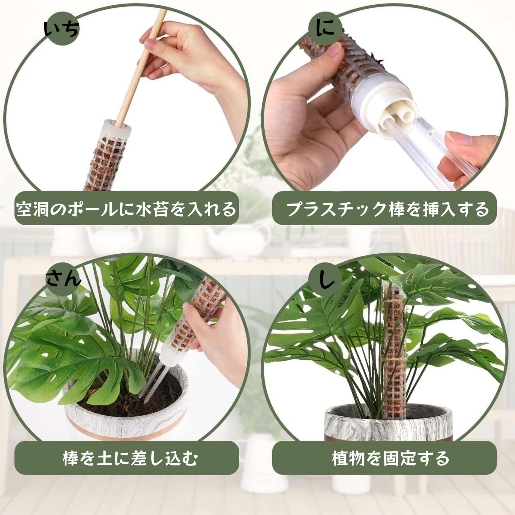Amazon.co.jp: Yemaxモスポール 透明 長いモンステラ支柱4点セット