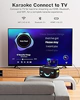 Vista 5 de Ikarao Máquina de karaoke para adultos con pantalla de letras, pantalla integrada de 13.3 pulgadas, máquina de karaoke verdaderamente todo en uno