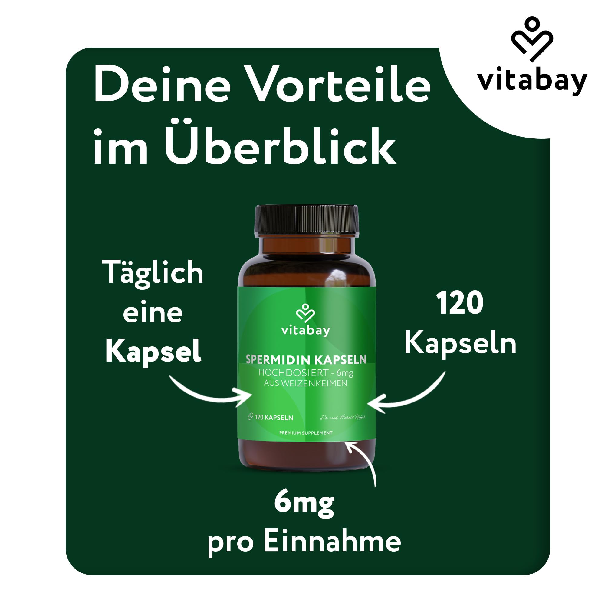 Vitabay Spermidin 6 mg Hochdosiert – 120 vegane Kapseln mit fermentiertem Weizenkeimextrakt – Natürlich hergestellt - Laborgeprüft in Deutschland & ohne Zusatzstoffe – Vorrat für 4 Monate