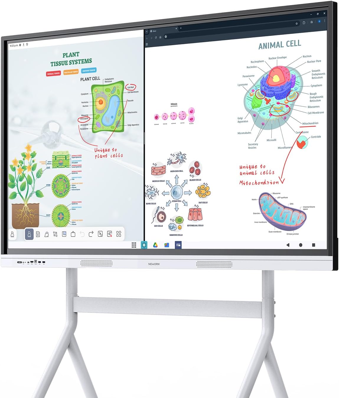 Smart Board, 55" Interactive Whiteboard with Google EDLA, Built-in Digital Whiteboard, Wireless Casting, Split-Screen & Unlimited Canvas for Business and Education (Wall Mount Included)