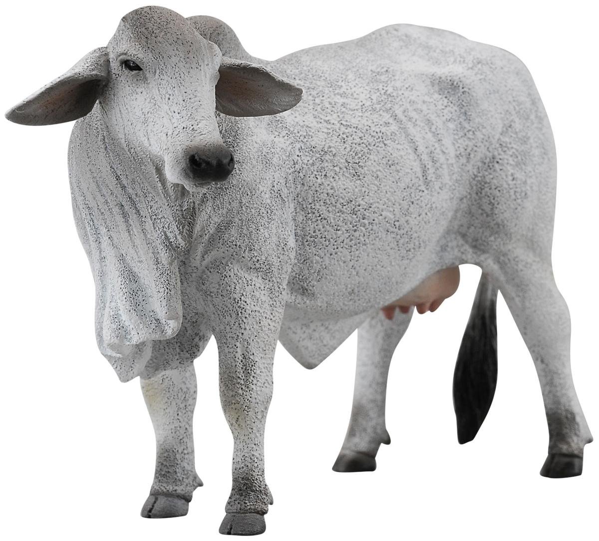 Amazon | CollectA Brahman Cow | フィギュア・ドール 通販