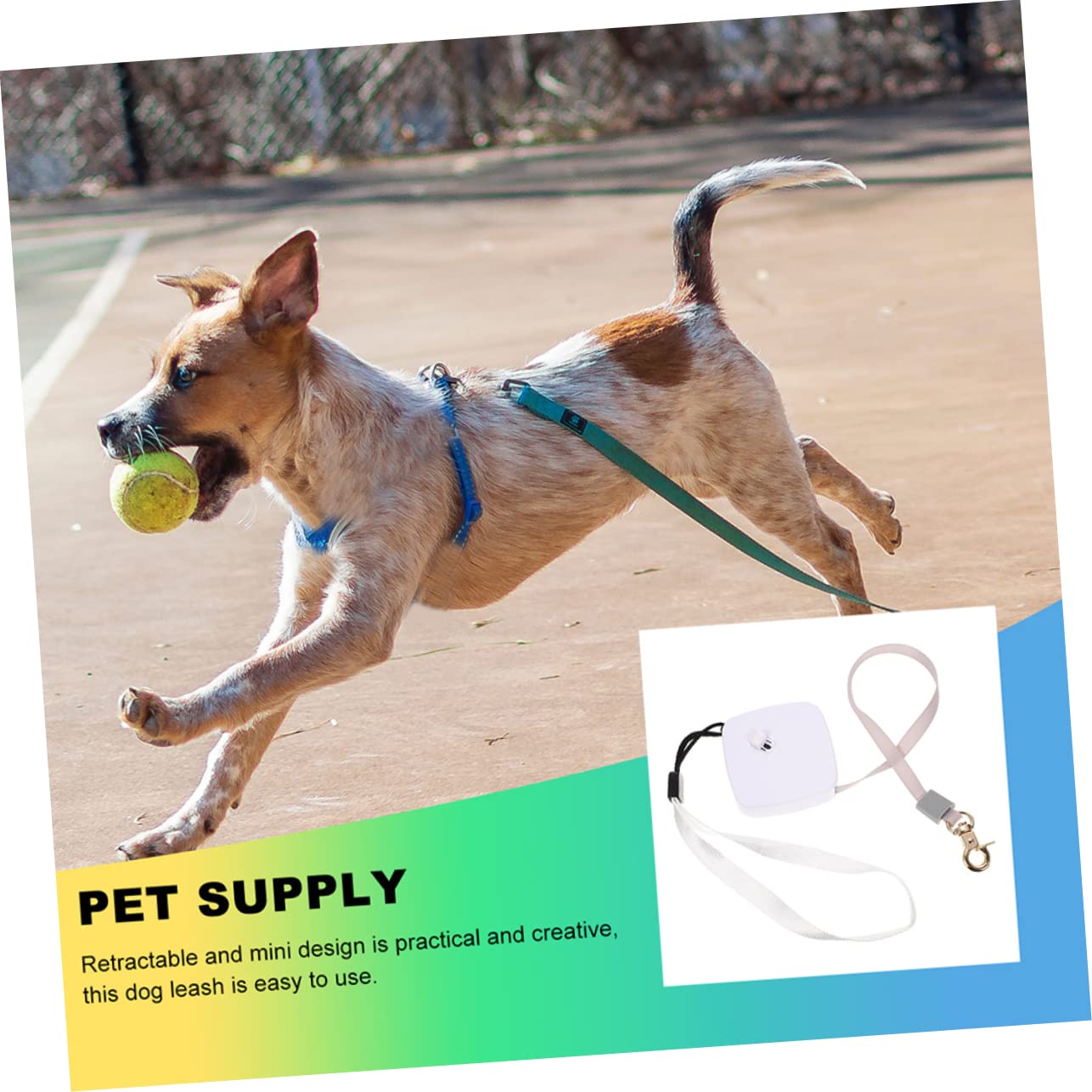 Kisangel 5 Piezas Cuerda retráctil para Perros Correa de retráctil Larga Cinta para Perros Correa para Cachorros Juguete Cuerda para con Freno de una Mano Dog Ropes