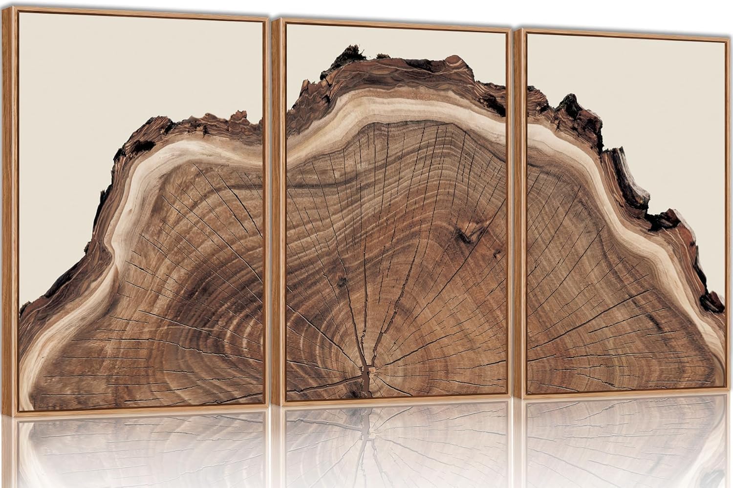 lianyibo Nature Tree Ring Canvas Wall Art Set Of 3, Large Wood Tree Spiral Art Prints, abstrakcyjny obraz ścienny do salonu (40x60cmx3/nieoprawione)