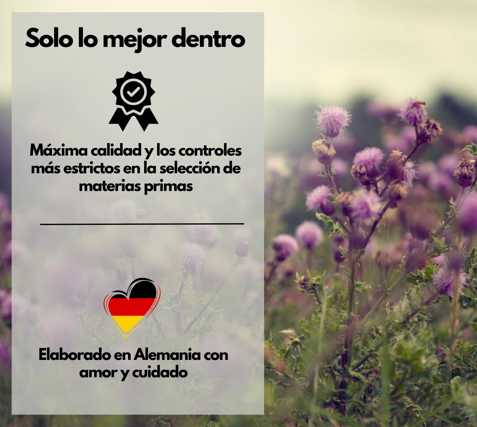 Complejo de cardo mariano con alcachofa y diente de león, 180 cápsulas, Alta concentración con un 80% de silimarina, 250 mg de extracto de cardo mariano por cápsula, apto para veganos y sin aditivos