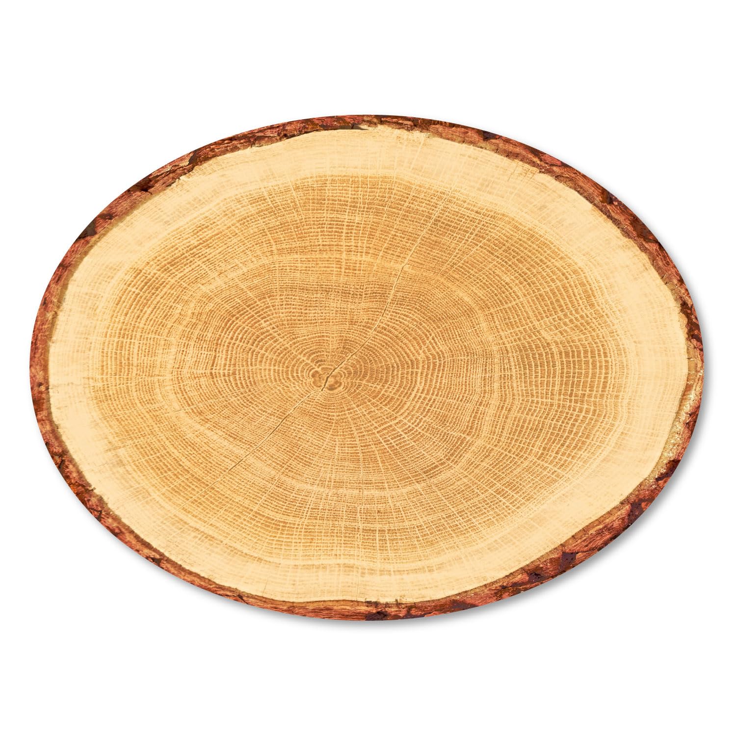PresentFill® Geschenkboden Dekoplatten - Baumscheibe - 50 Stück - M- oval 300 x 200 mm - 100% Recyclingkarton - Made in Germany