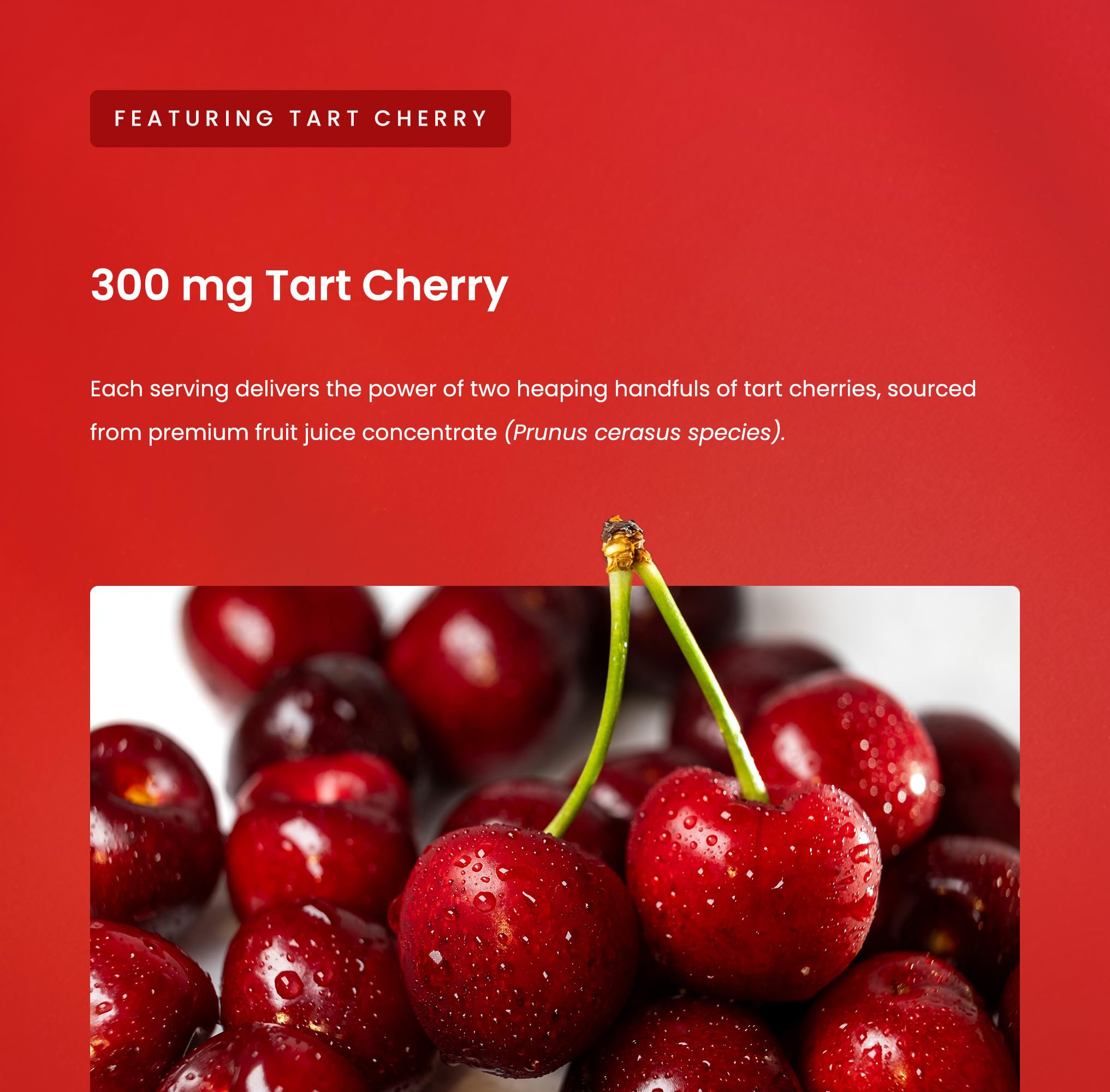 NutraChamps Tart Cherry Gummies with Celery Seed – Potent 10:1 Tart Cherry Extract – Vegan Gummies – 120 Count – Third Party Lab Tested, Vegan, Non-GMO — Amazon image 7