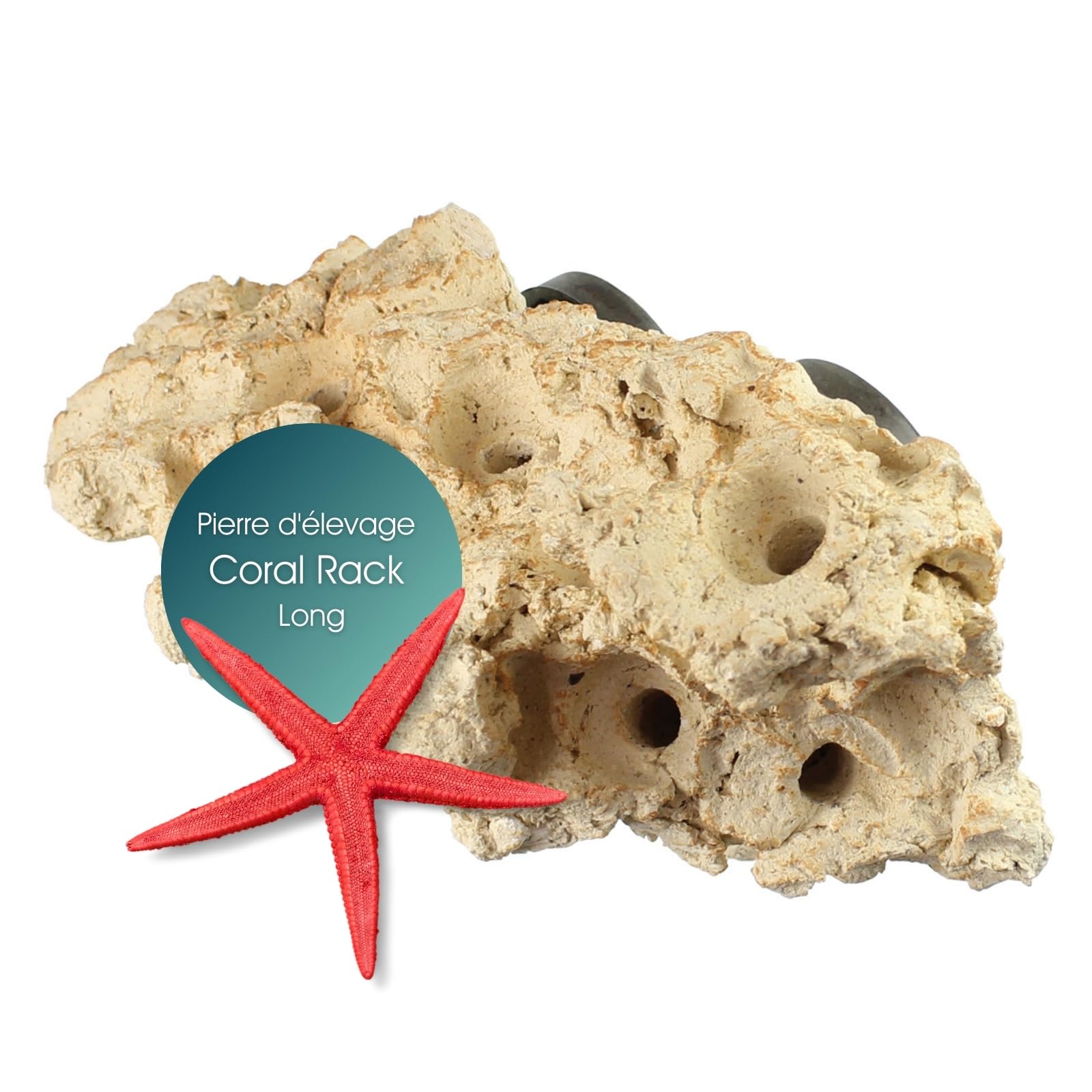 Tunze Coral Rack Long, 1 Stück (1er Pack), 0104.820