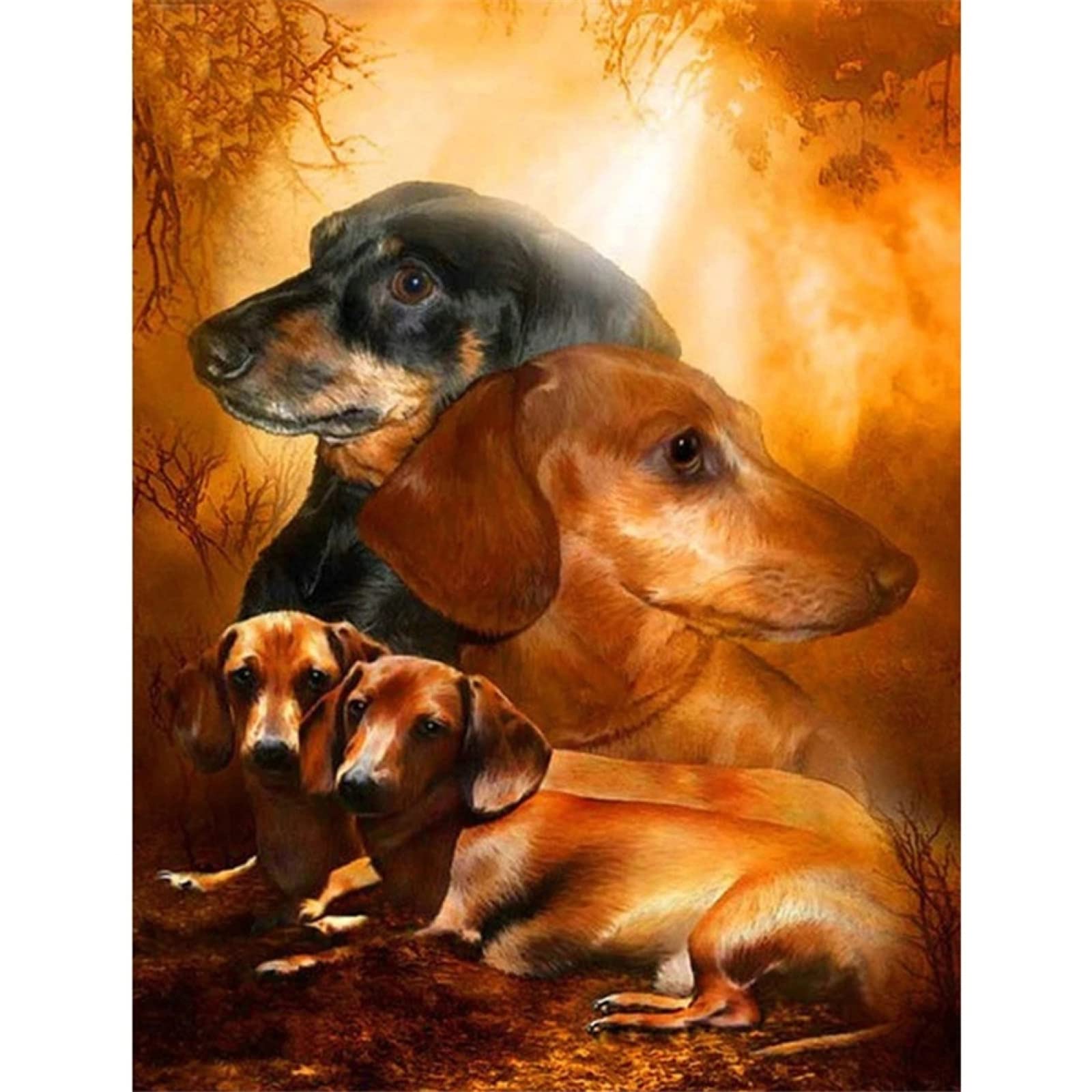 5D DIY Diamond Painting Completo, Round Drill Pareja De Perros Animales 55x75cm DIY Pintura Diamante Taladro Completo Kit Cuadros Cristales Para Manualidades Decoración Del Hogar Pared Salon regalo