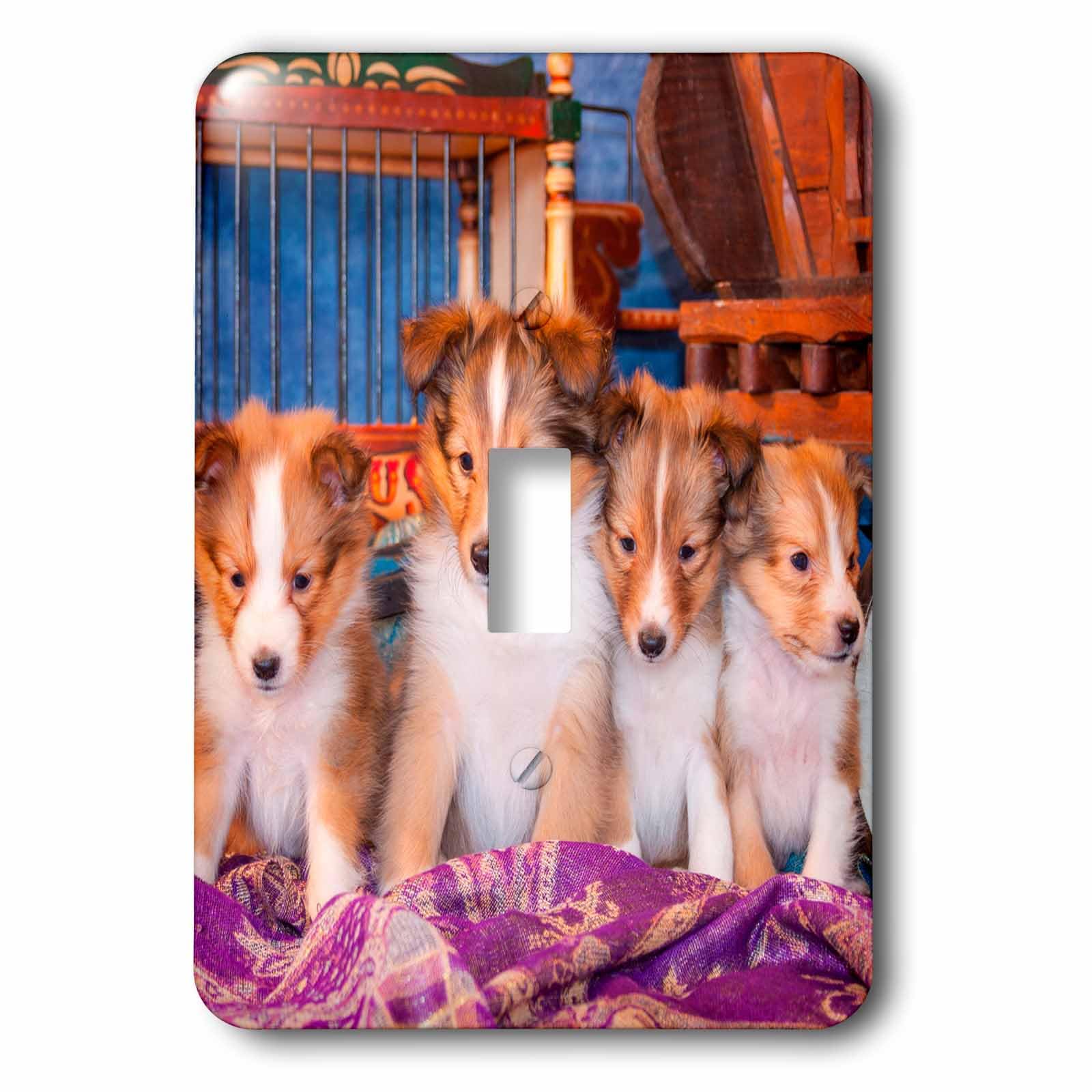 Interrupteur Shetland Sheepdog Chiot décoration murale maison 3dRose