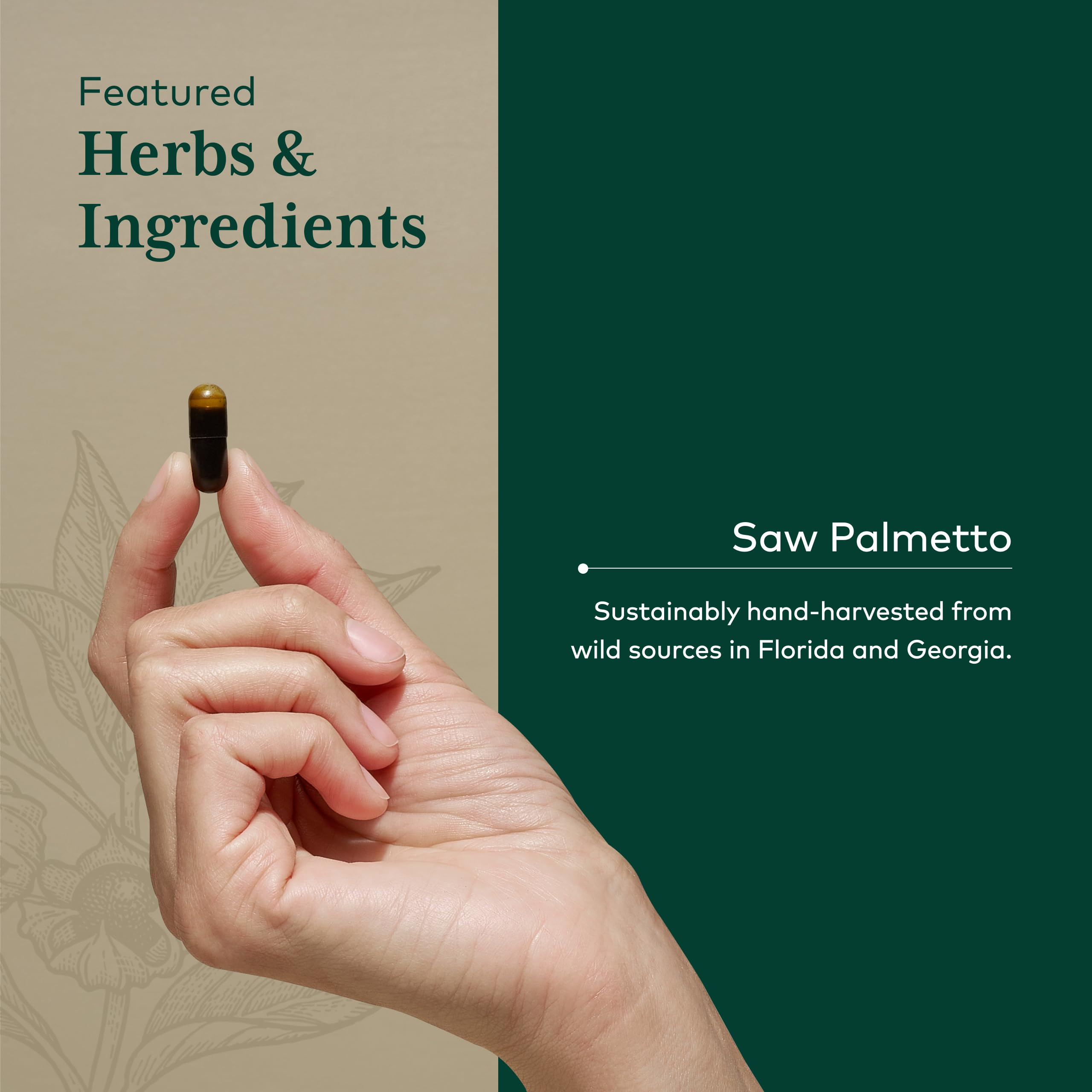 Gaia Herbs PRO Saw Palmetto, 60 Vegan Capsules, 60 Servings — Amazon image 4