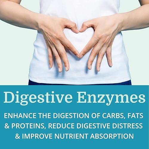 Miniatura 5 de AlkaPan (2 unidades) Mejor proceso alcalino - Suplemento digestivo natural - Enzimas pancreáticas con superalimentos ricos en antioxidantes y