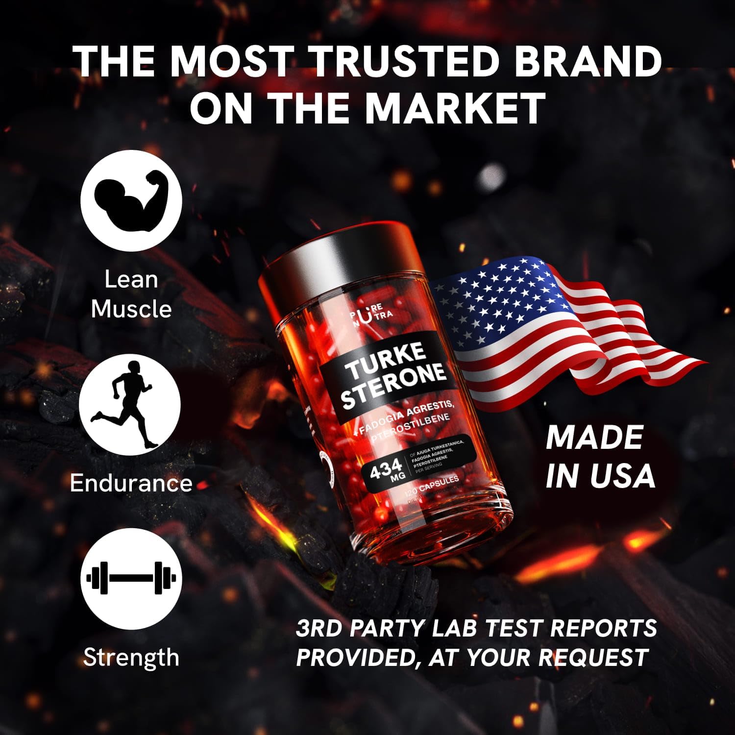 Organic Turkesterone Supplement for Men - Muscle Recovery & Growth with Organic Fadogia Agrestis, Pterostilbene, Ajuga Turkestanica | Complexed Turkesterone Powder | 120 Servings - Image 4