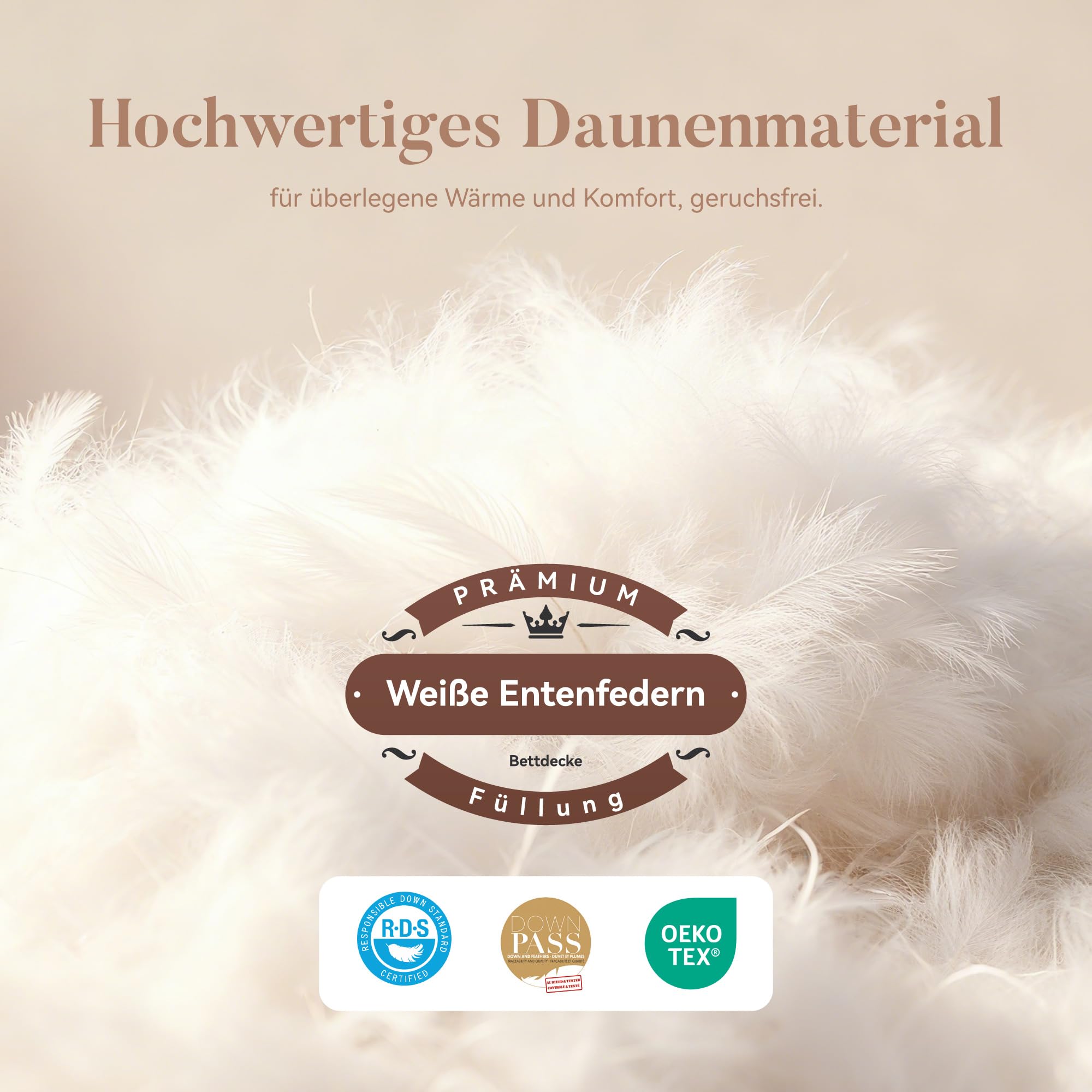 Sophia & William Bettdecke, 4 Jahreszeiten Bettdecken 200x200 cm für Allergiker, Oeko-TEX Zertifizierte Steppdecke, Ganzjahres Federbett Daunendecke mit 80% Federn & 20% Daunen