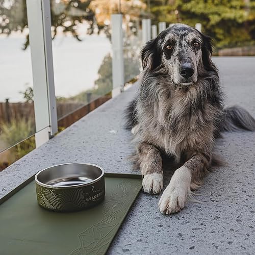 Miniatura 7 de Wilderdog Mantel individual de silicona para mascotas fabricado con cono de silicona 100% de grado alimenticio, sin BPA, PVC y ftalatos. No tóxico,