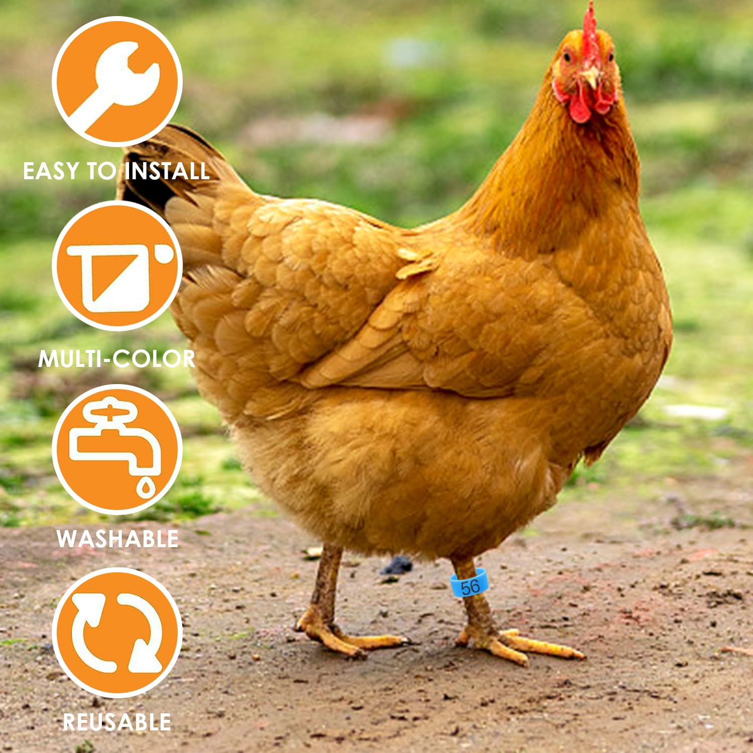 80 Piezas Hebilla de Marcado Digital para Patas de Pollo, Anillo de Plástico para Aves de Corral