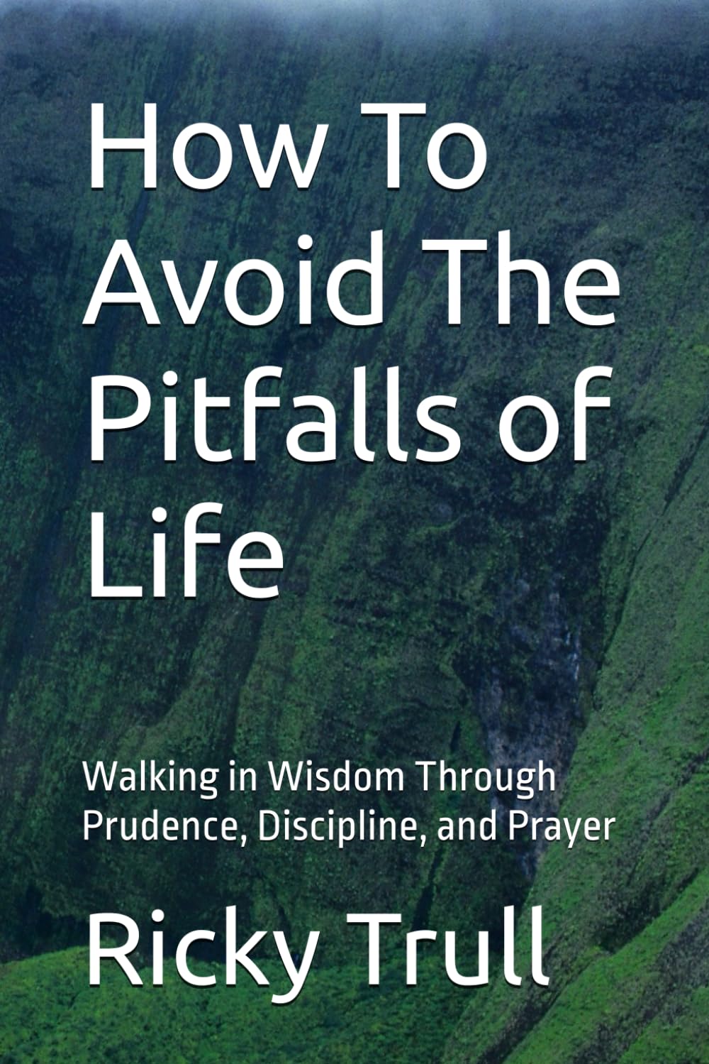 How To Avoid The Pitfalls of Life: Walking in Wisdom Through Prudence, Discipline, and Prayer