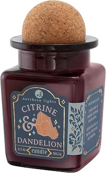 Northern Lights Candles - Curiosity - Citrine & Dandelion - 56073