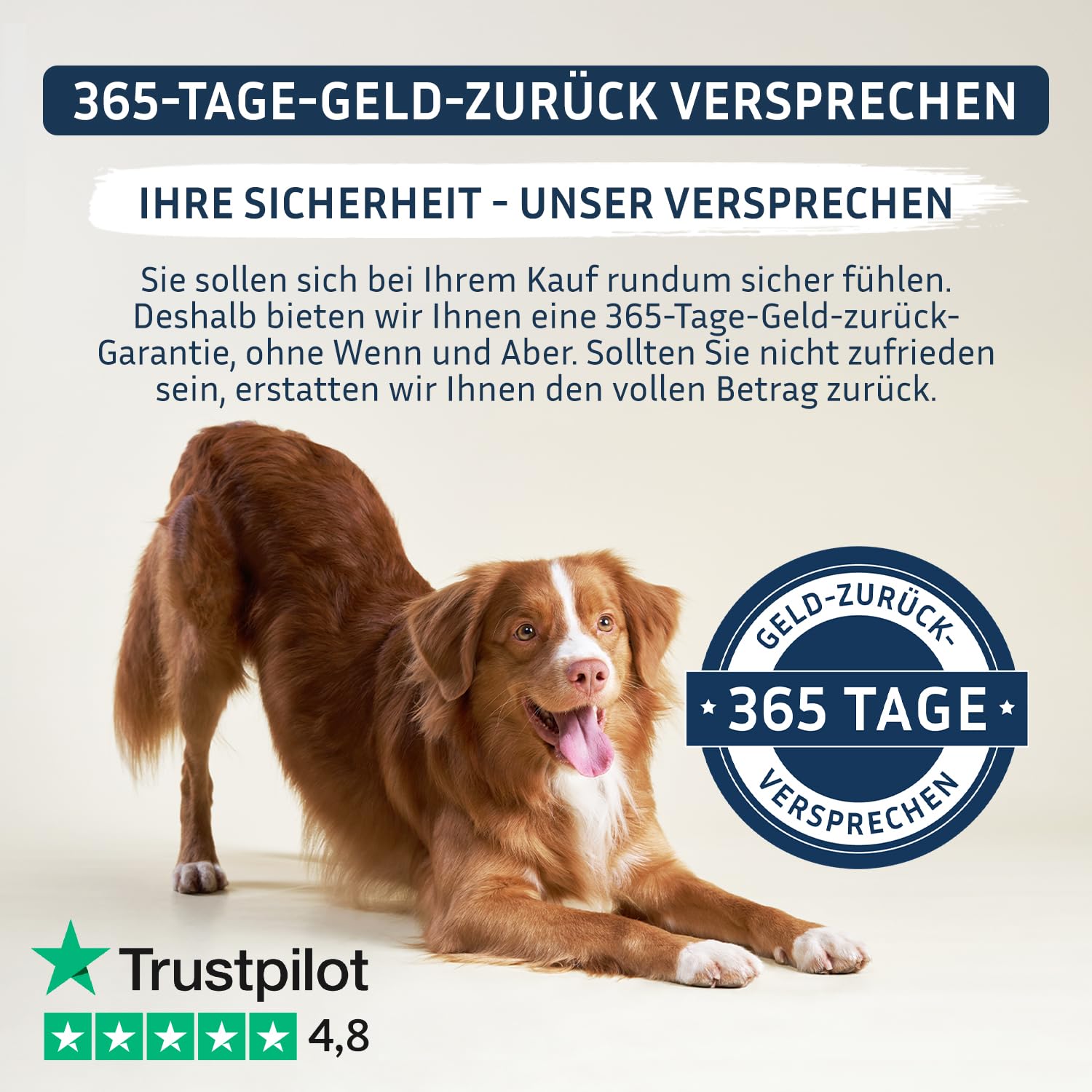 PetFokus Darm Komplex für Hunde - Unterstützung der Verdauung, entzündungshemmend, Gelenkgesundheit und Gewichtskontrolle, ergänzend zur Nass-, Trocken- oder Rohfütterung - in Deutschland produziert
