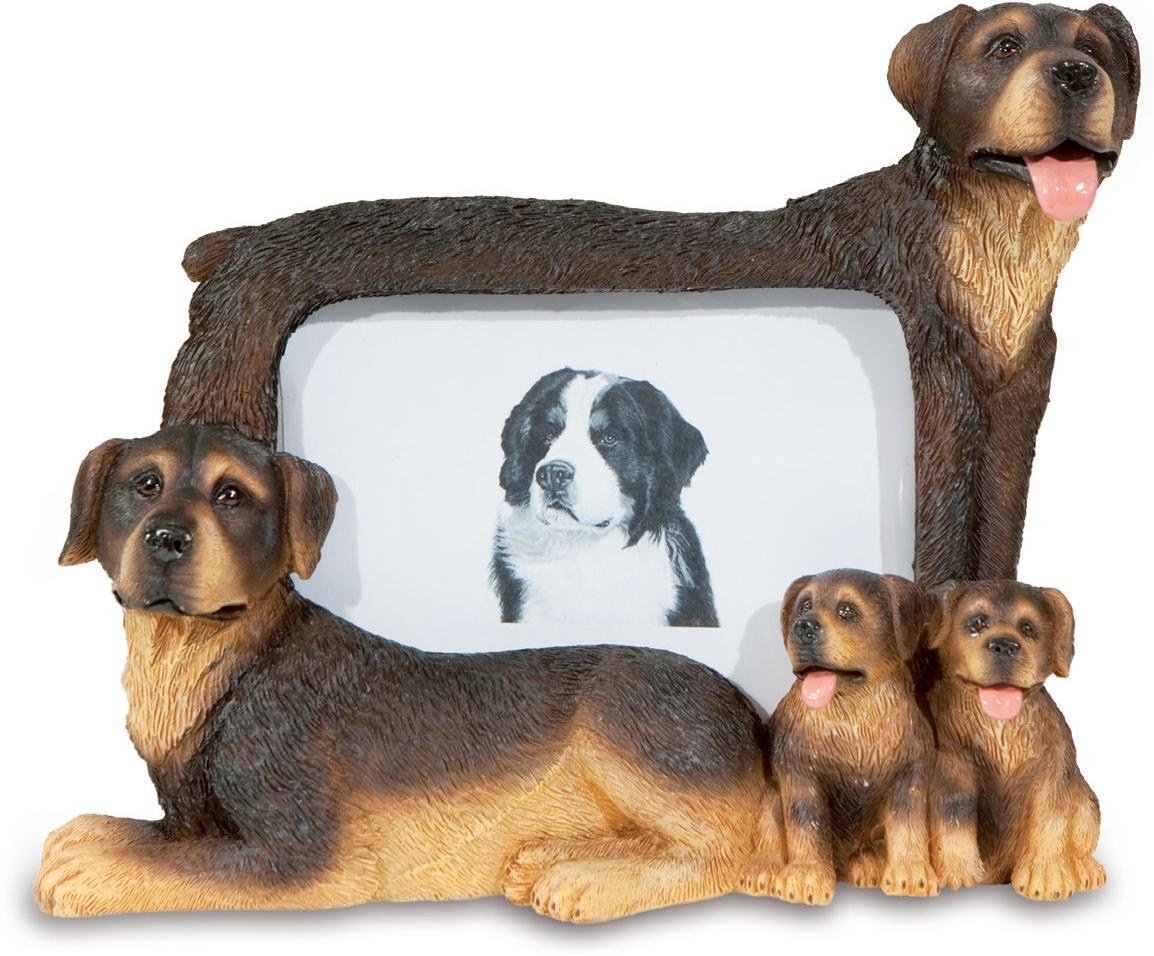 Cadre photo chien Bernois, le cadeau idéal pour maîtres passionnés