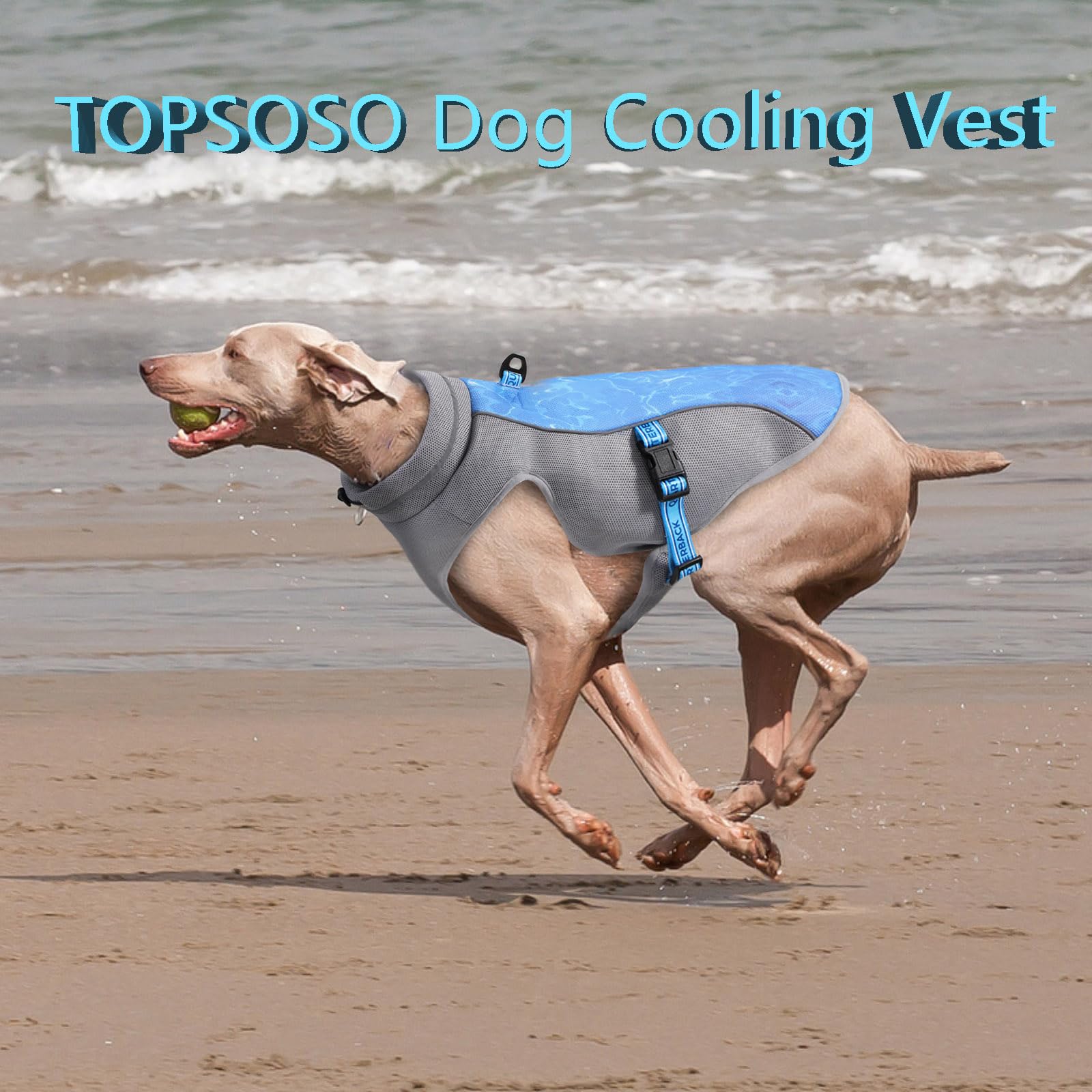 Gilet Rinfrescante per Cane Leggero - Pettorina Refrigerante di Protezione UV per Spiaggia, Traspirante Cappotto di Raffreddamento Interno, Escursione Estivi (Verde M)