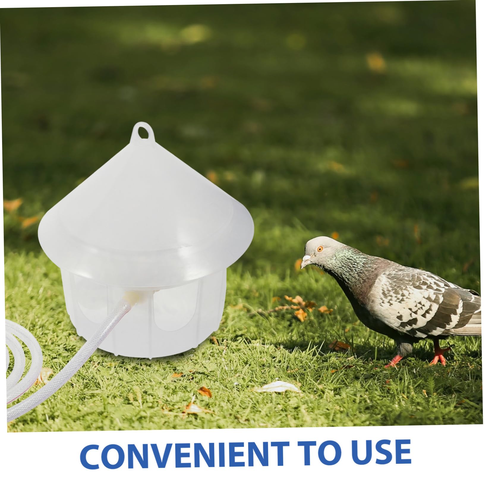 BESPORTBLE Distributore Acqua per Piccioni in Plastica, Facile da Pulire e Fissabile alle Gabbie per Uccelli, per Alimentazione Automatica di Pollame e Volatili
