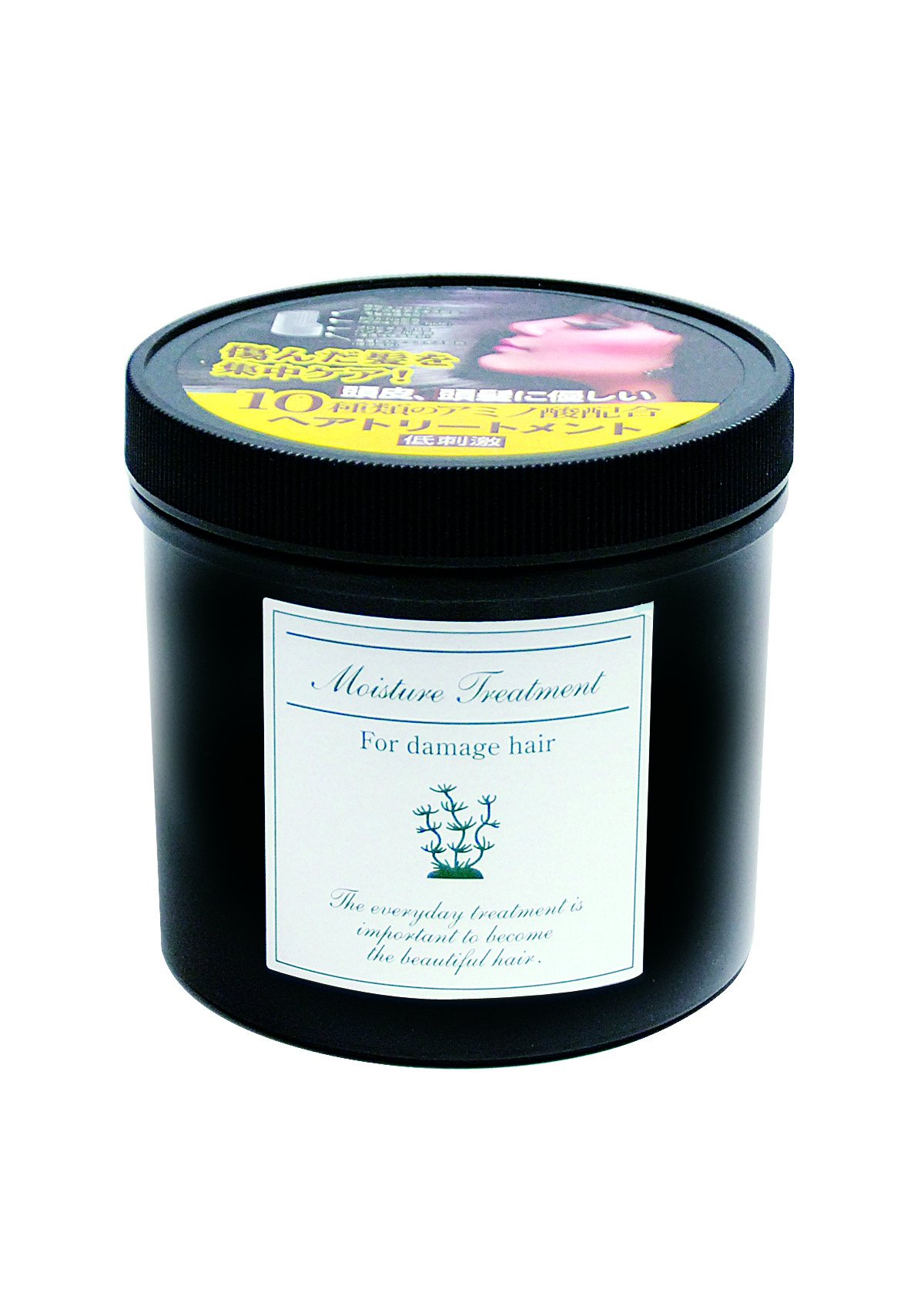 Amazon.co.jp: Dモイスチャートリートメント 800g : ビューティー