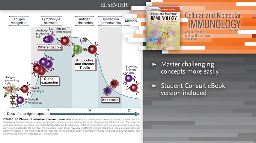 Cellular and Molecular Immunology (Cellular and Molecular