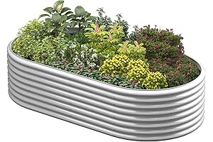 BTDVR 6FT(L)x3FT(W)x2FT(H) Raised Garden Bed