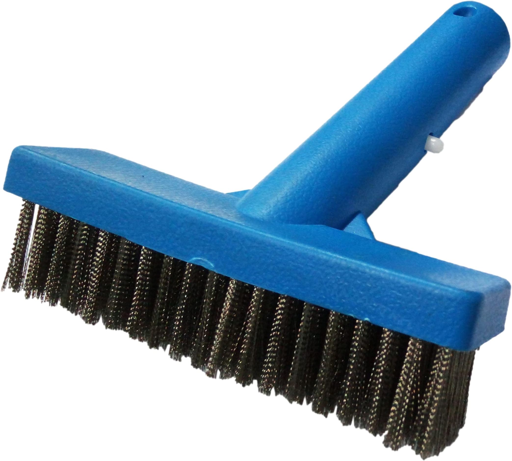 BlueWave 5 Inch Algae Brush with Stainless Steel bristles. Cleaning Brush for Wall, Floor, Pool Cleaning Brush for Maintenance, Heavy-Duty Equipment for Wall and Floor Tile