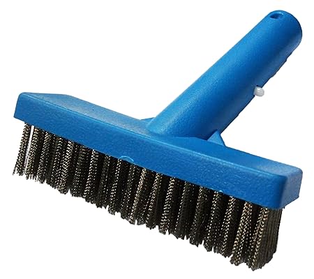 BlueWave 5 Inch Algae Brush with Stainless Steel bristles. Cleaning Brush for Wall Floor Cleaning Brush - Pool Cleaning Brush for Maintenance, Heavy-Duty Equipment for Wall and Floor Tile