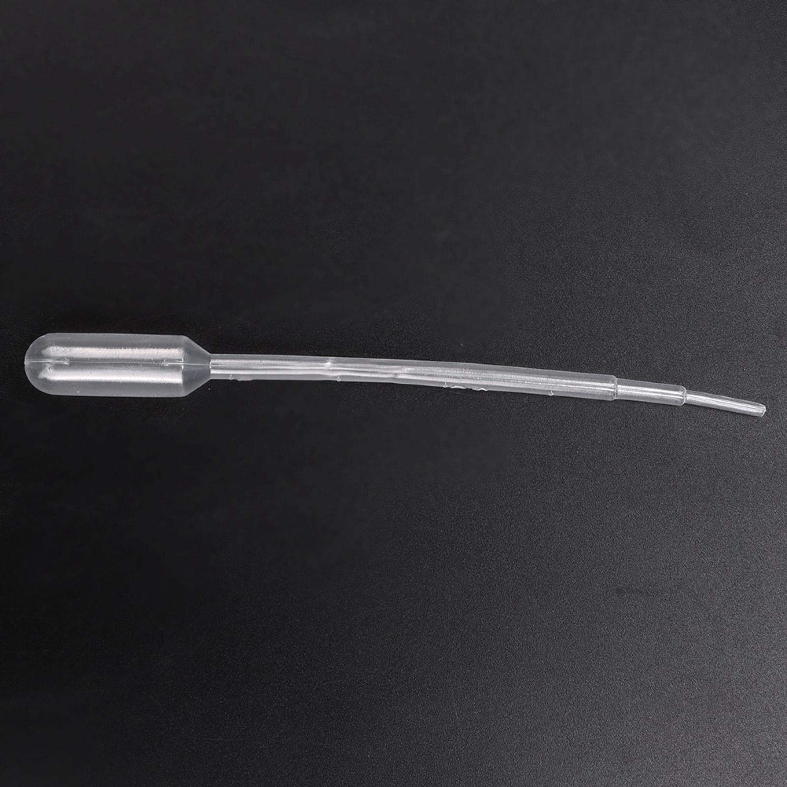 Crazy Purchase Transparent Ant Farm, Ant Nest, People Love Animals Insects for Children Pets Feeding