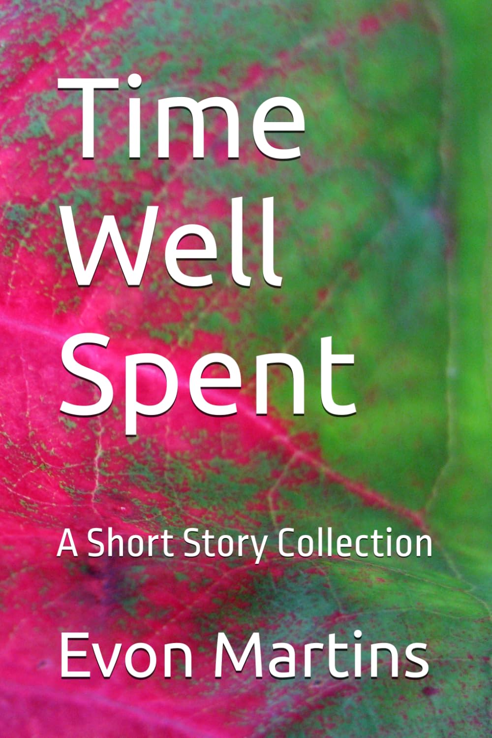 Time Well Spent: A Short Story Collection