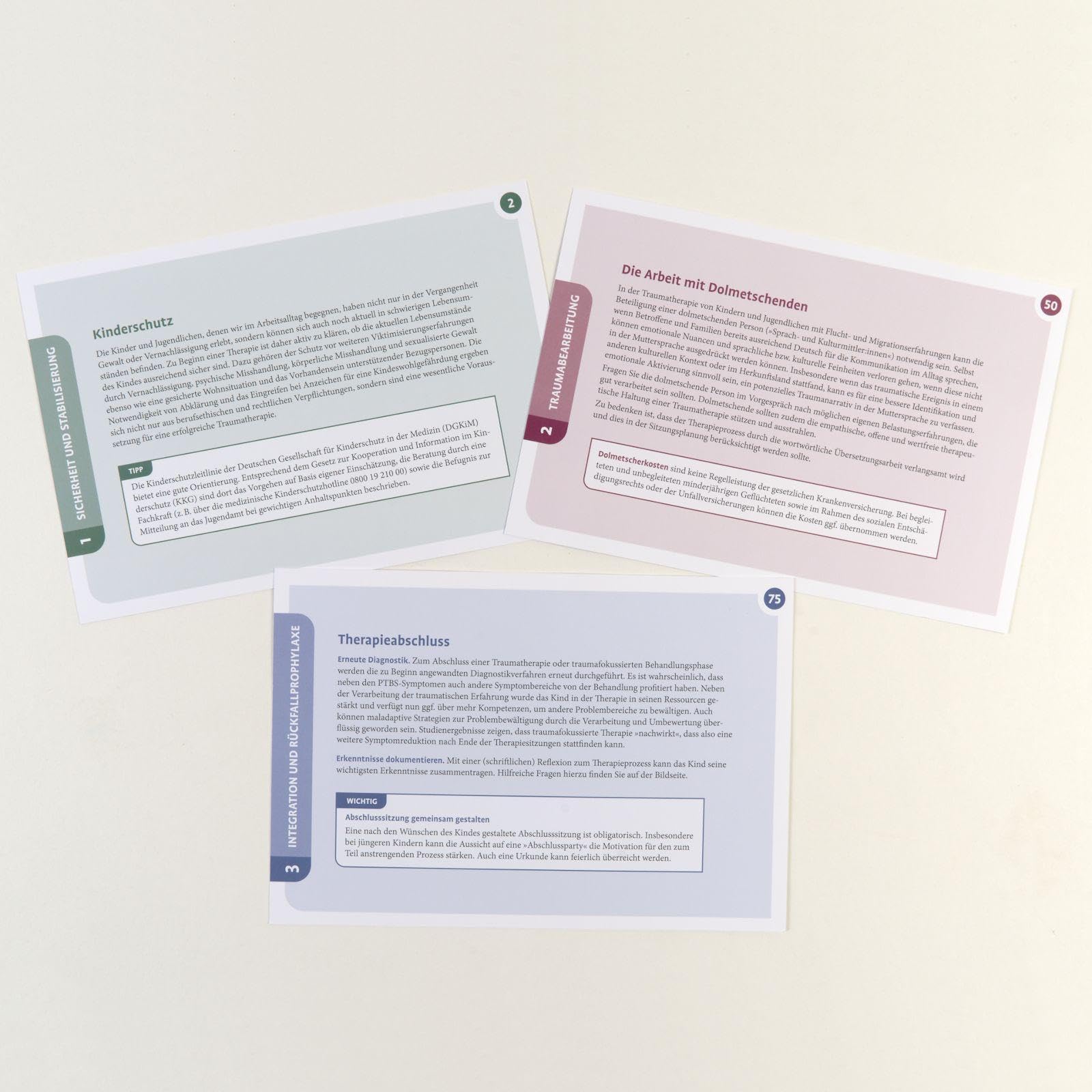 Posttraumatische Belastungsstörung im Kindes- und Jugendalter: 75 Therapiekarten. Mit 28-seitigem Booklet in hochwertiger Klappkassette, Kartenformat 16,5 x 24 cm (Beltz Therapiekarten)