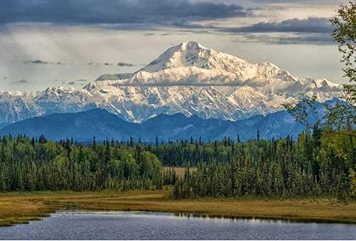 JNNPY - Kits de punto de cruz estampados, parque nacional, kits de punto de cruz para adultos, kits de punto de cruz fáciles de contar para