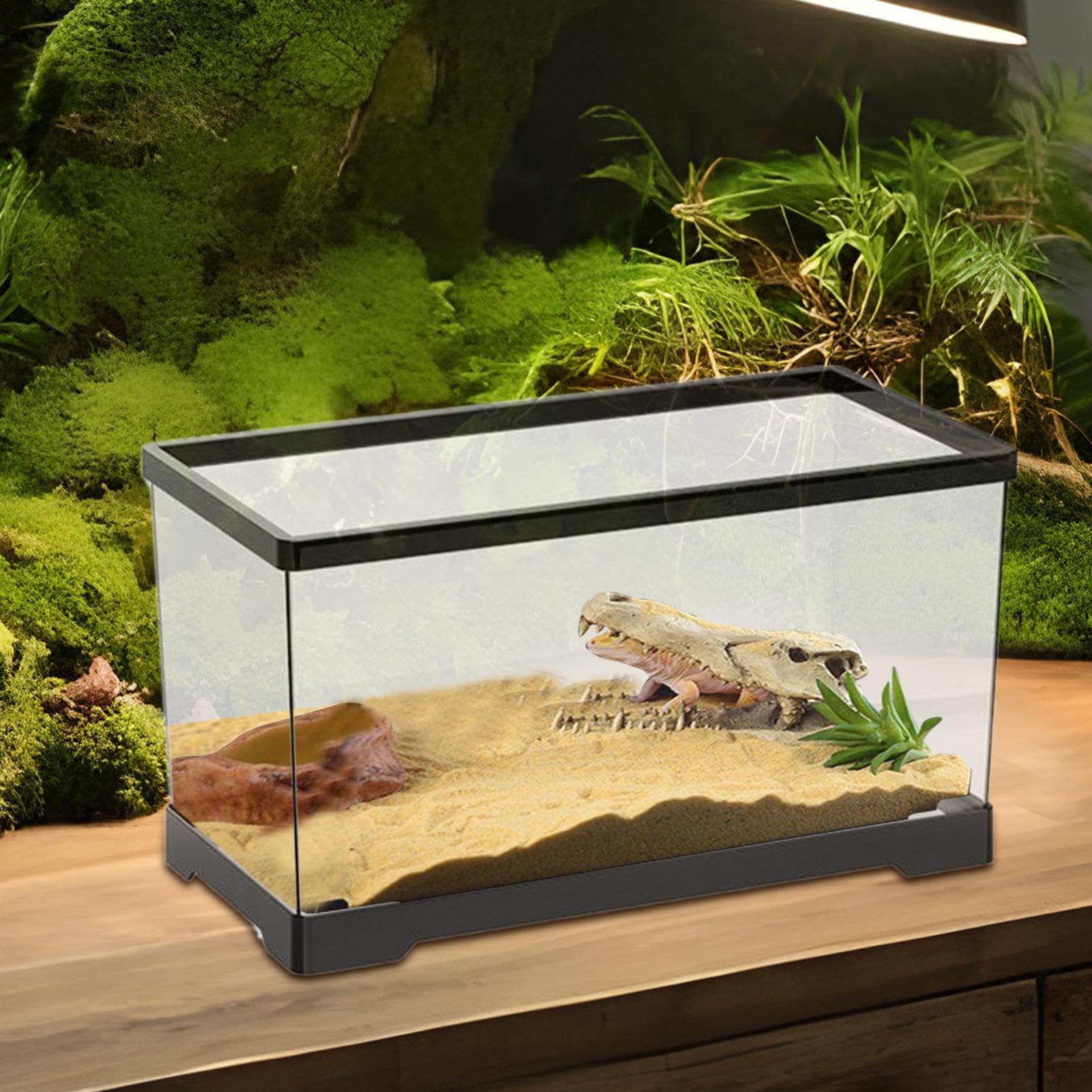 Kit Vasca Per Tartarughe Habitat Per Tartarughe | Terrario Acquario Con Drenaggio Integrato Per Testuggini Pesci Paguri Anfibi Camaleonte Rana