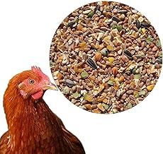 25 kg Premium Hühnerfutter Körnerfutter Plus Geflügelfutter für Hühner, Gänse, Enten - GVO frei Kükenfutter