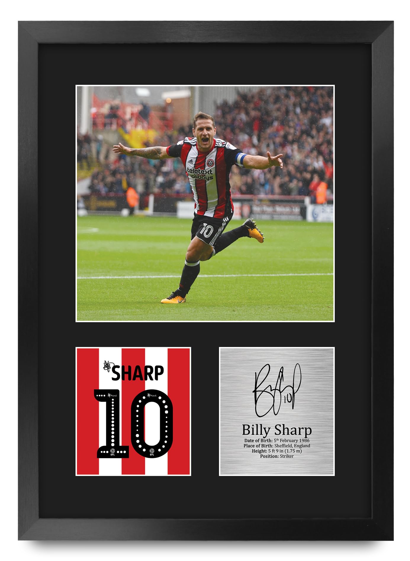 Cuadro A3 de Billy Sharp para decorar tu zona de fútbol en casa 8