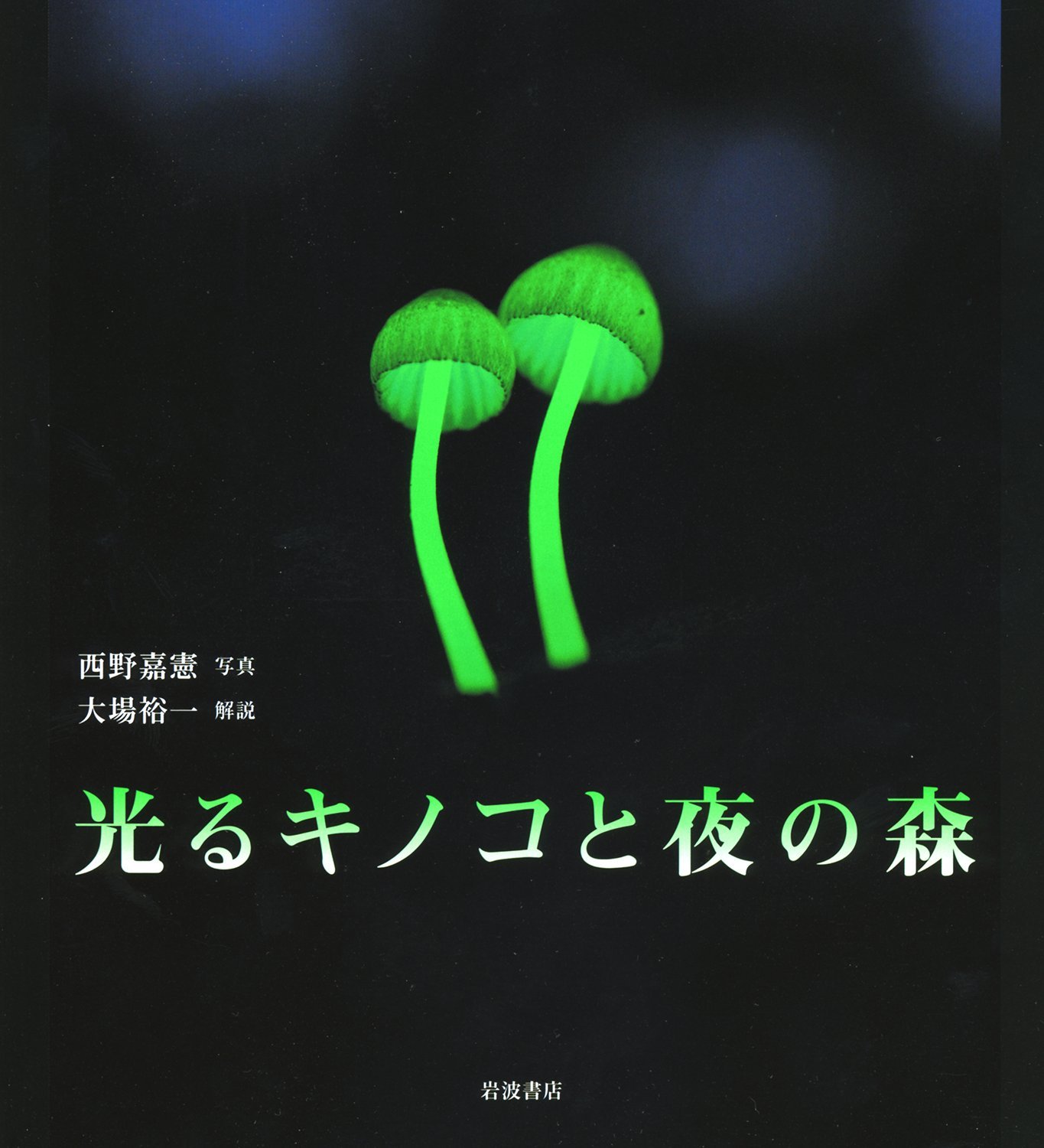 光るキノコと夜の森 大場 裕一 西野 嘉憲 本 通販 Amazon