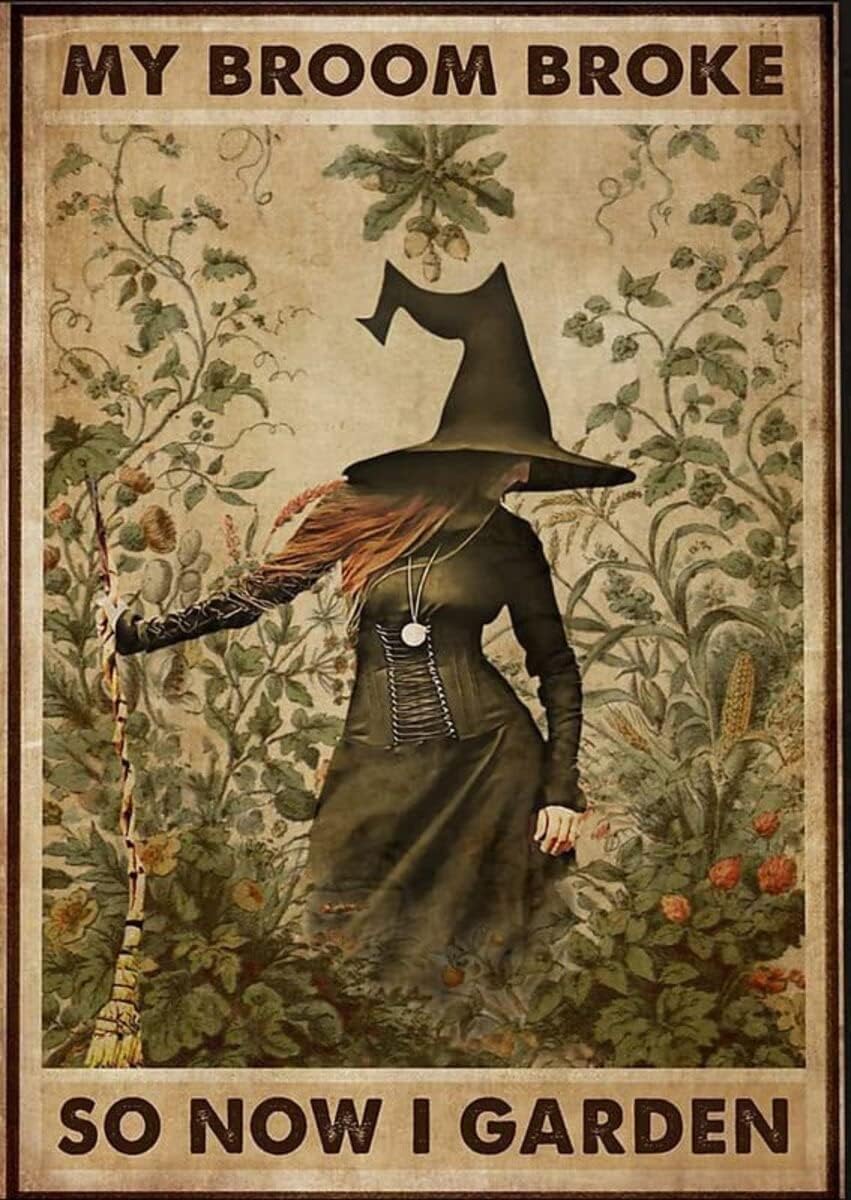 Kwqdozf Sa7 8X12 Inch Funny Metal Tin Sign Witch My Broom Broke So Now I Garden Tin Sig