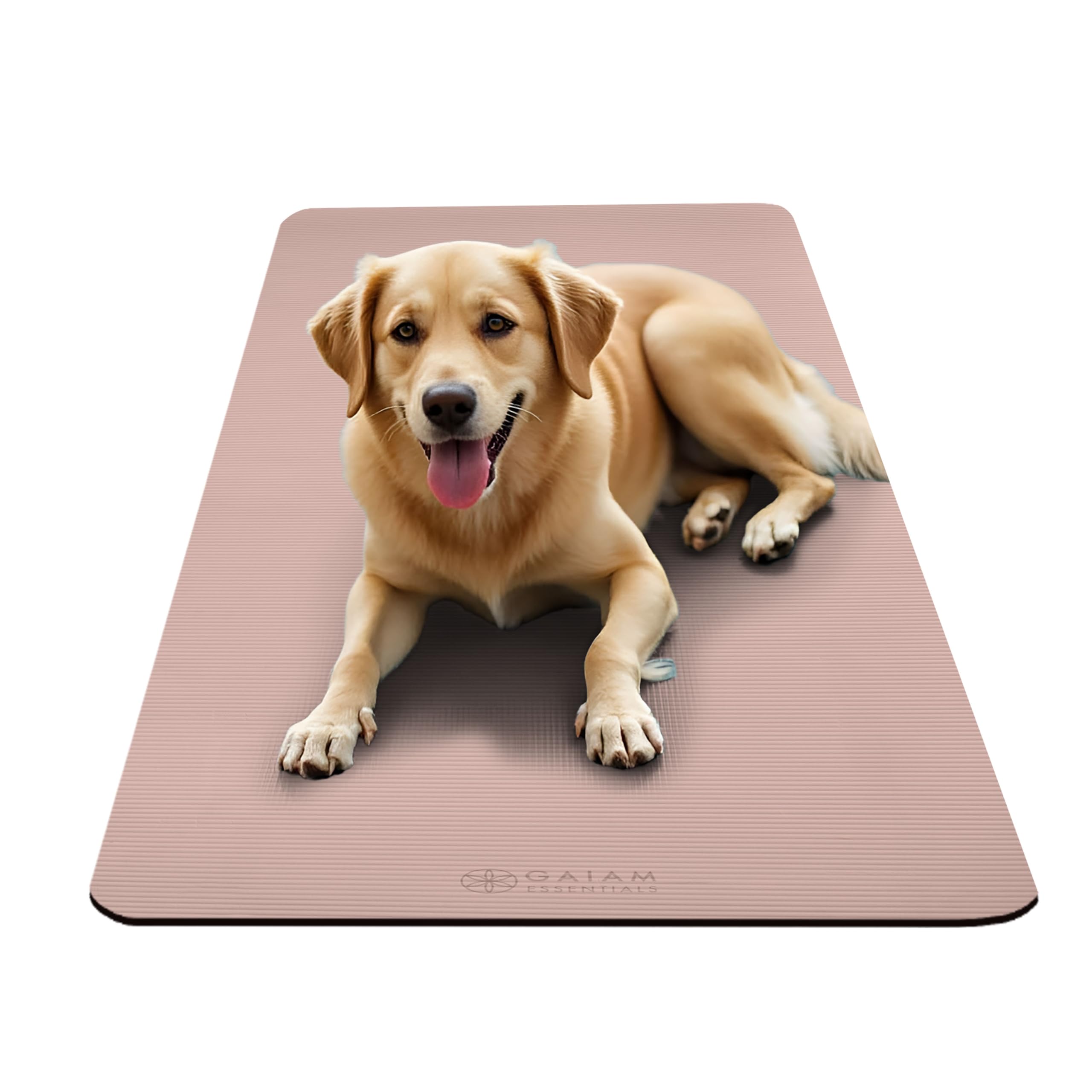 Gaiam Essentials Thick Yoga Mat with Easy-Cinch Strap (French Rose, 10mm) view 6
