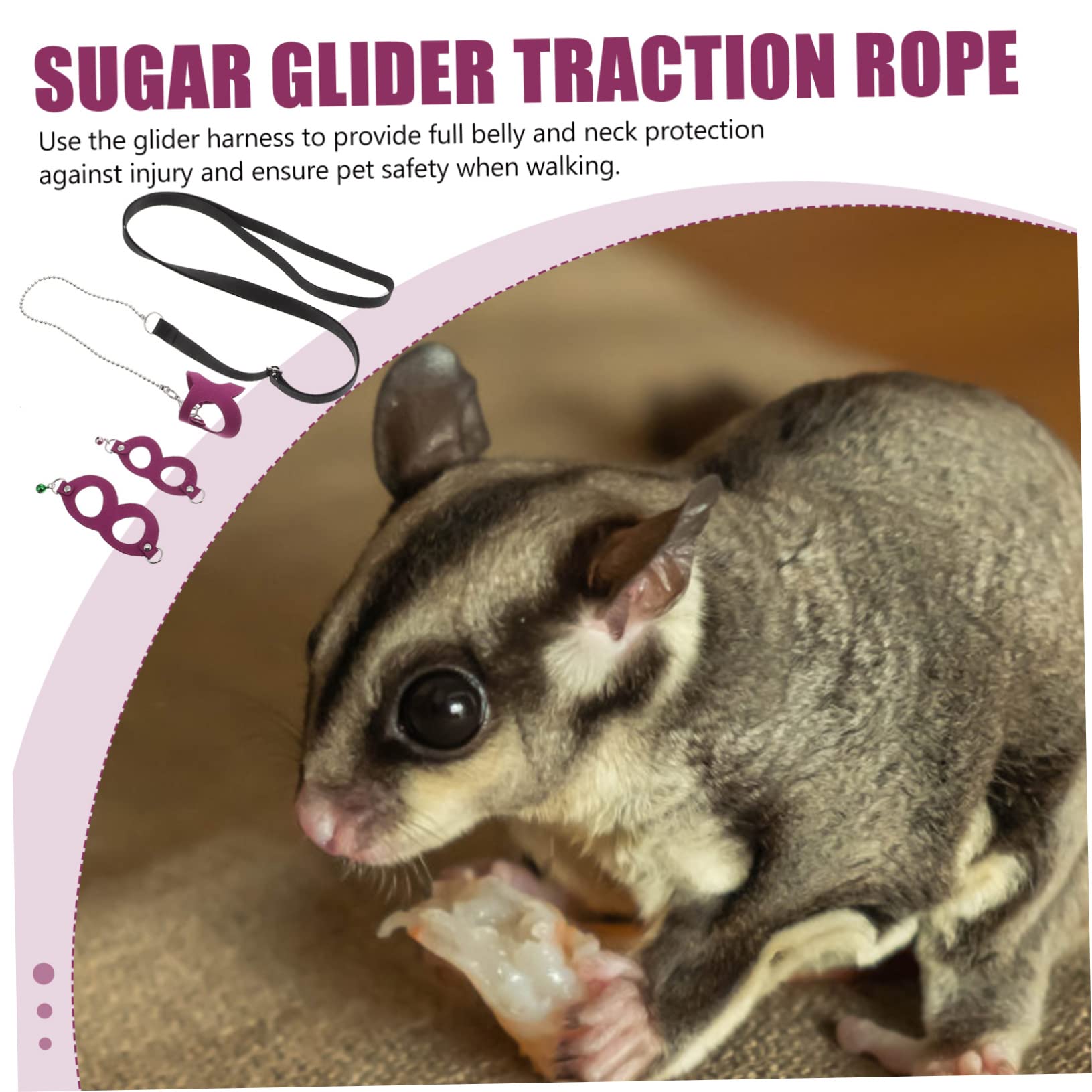 Levemolo Sturdy Traction Rope Sugar Glider Walking Leash Reptile Harness Easy to Use Random Style