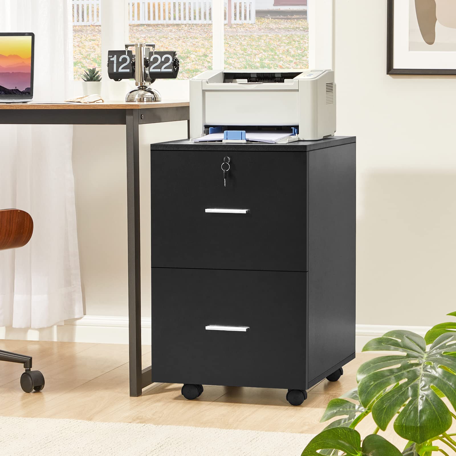 https://m.media-amazon.com/images/I/711pd3URf4L.jpg