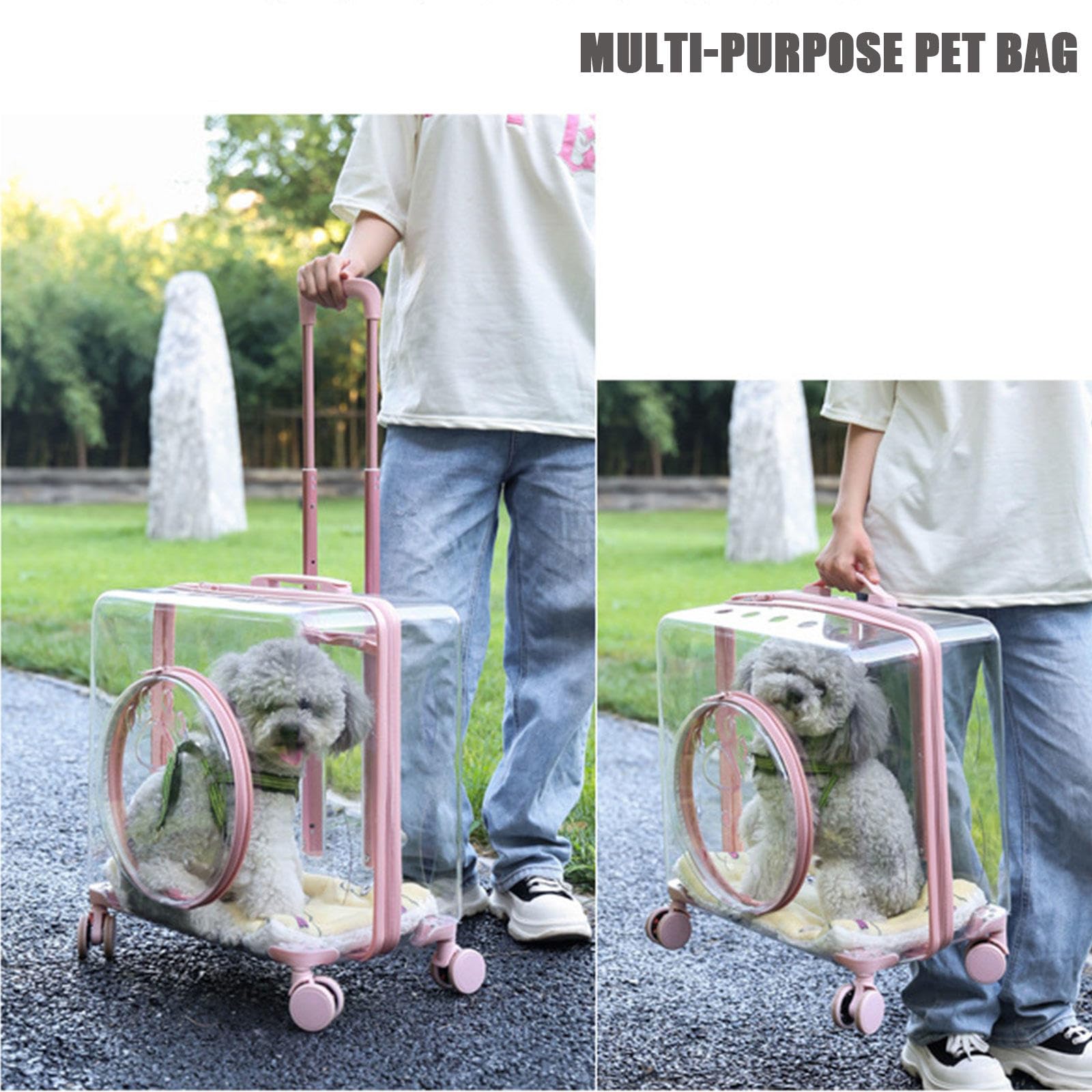 Trasportino per Gatti Bubble Trasparente con Ruote, Trasportino per Cani da Viaggio Respira Liberamente con Tappetini, Trasportino Leggero con Rotelle per Cani e Gatti,Green