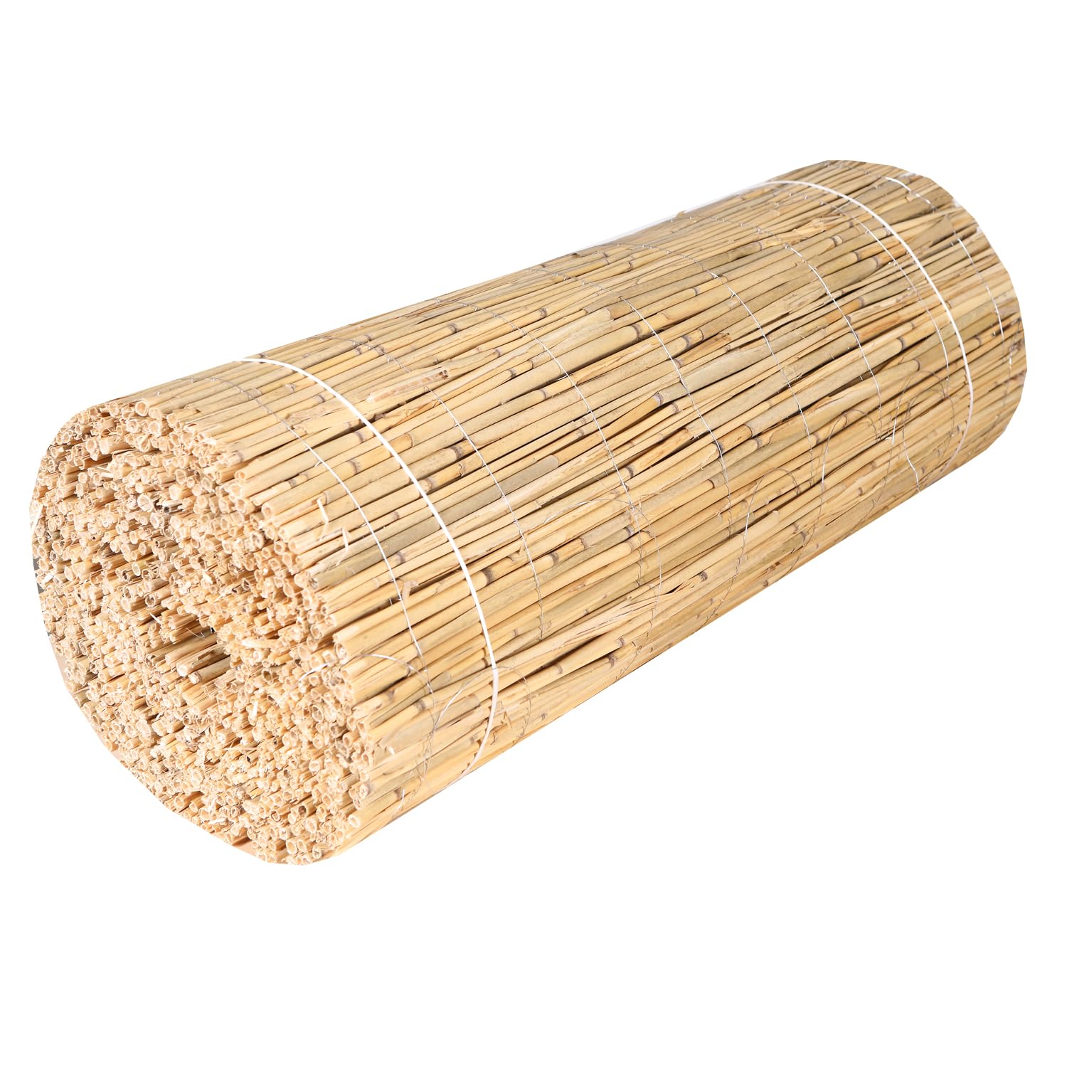 H4L Schilfmatte Sichtschutzmatte Schilfrohrmatte Natur Sichtschutz Windschutz Schilf 600x110cm